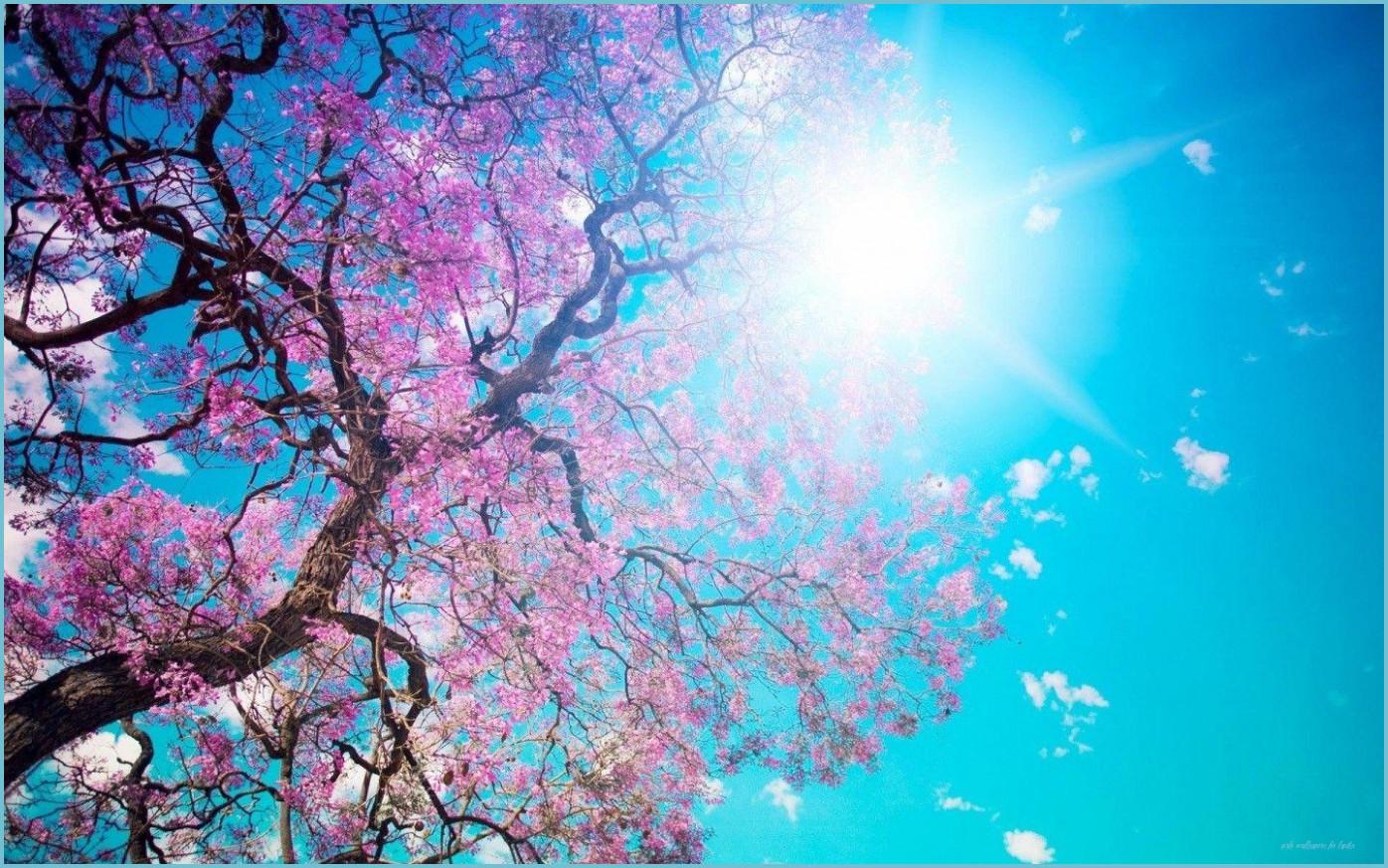 1396x873 Girly Desktop Scenic Wallpaper Wallpaper For Laptop