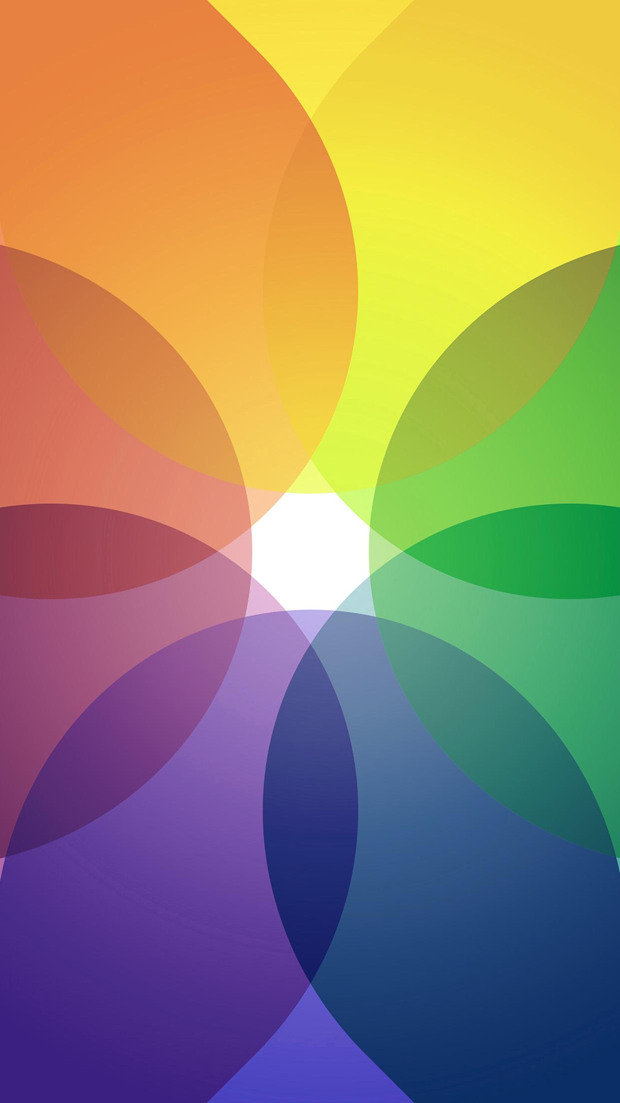 1242x2208 Rainbow Color Variation Circle Pattern Wallpaper