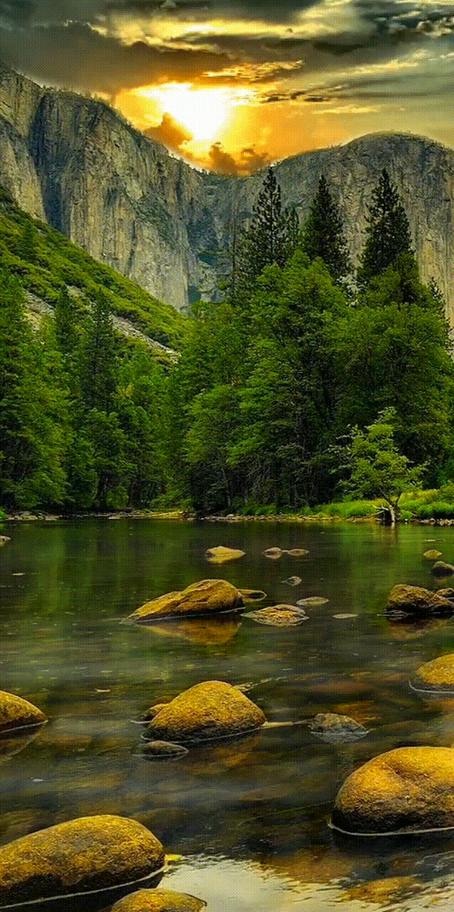638x1280 image and videos on We Heart