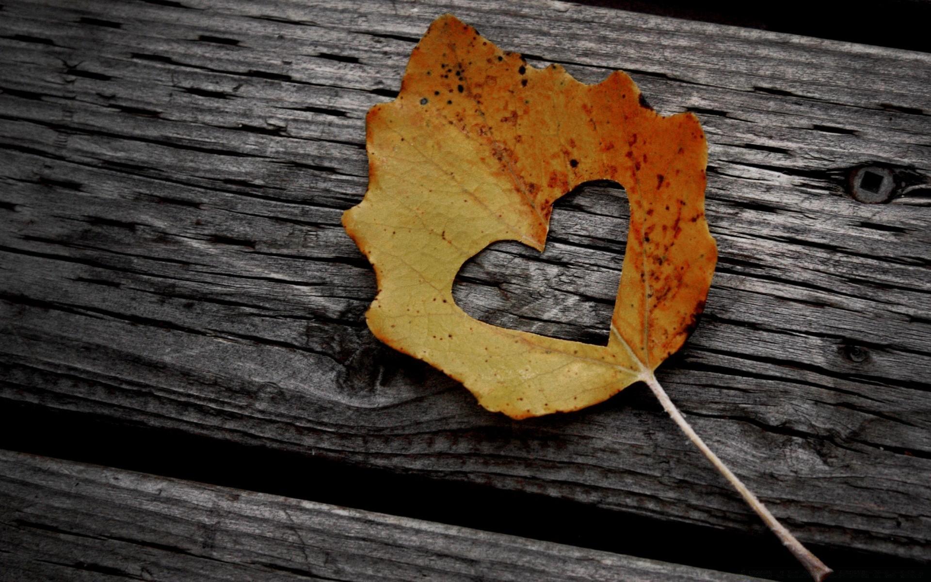 1920x1200 Heart Leaf Autumn