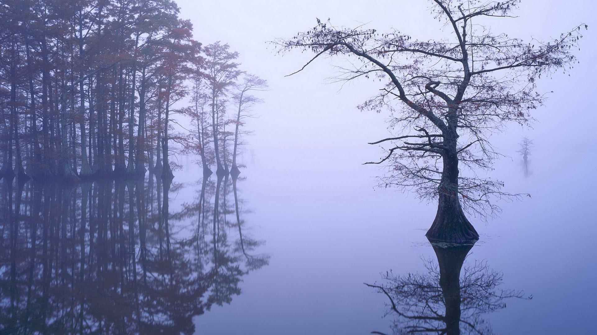 1920x1080 Misty Lake HD Wallpaper