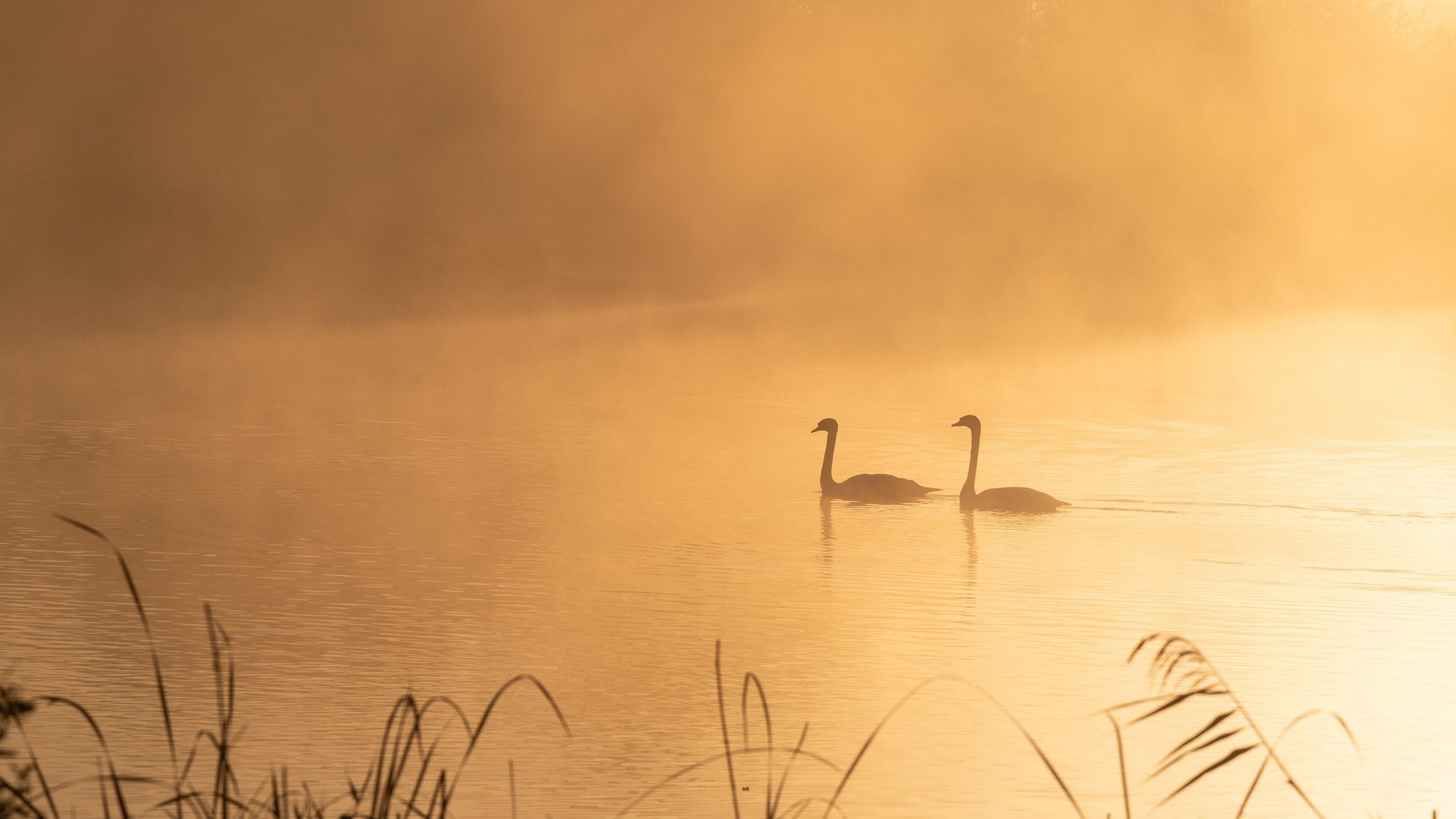 3840x2160 of Lake 4K wallpaper for your desktop or mobile screen