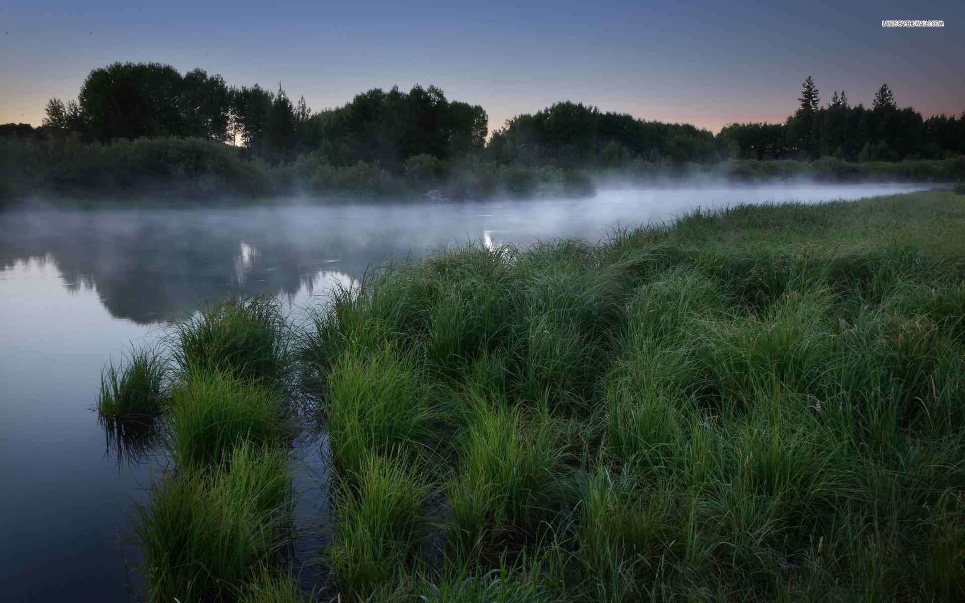 1920x1200 Misty Lake Grass Forest Sky wallpaper. Misty Lake Grass Forest Sky