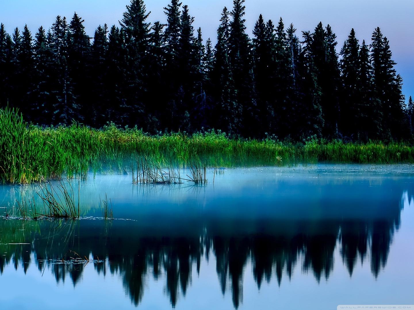 1440x1080 Misty Lake And Dark Forest Ultra HD Desktop Background Wallpaper for 4K UHD TV : Widescreen & UltraWide Desktop & Laptop : Tablet
