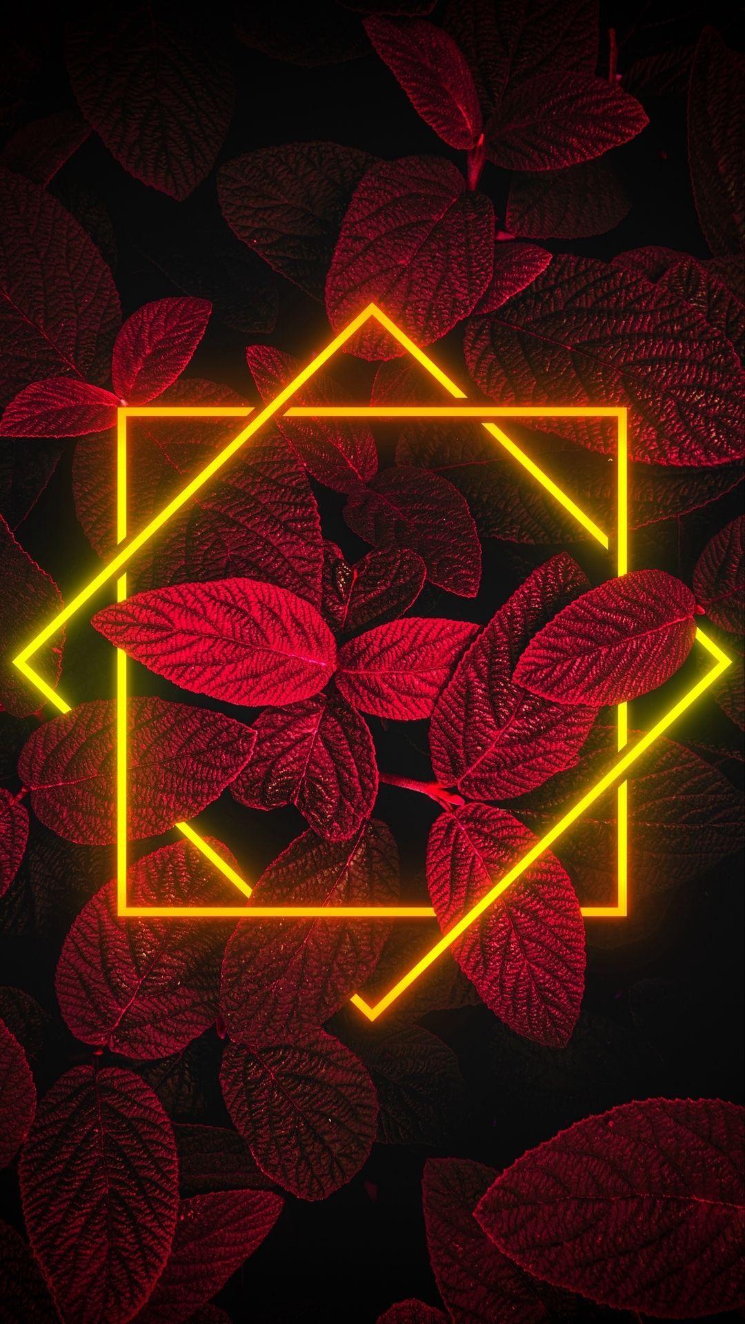 1080x1920 Apple. iphone. wallpaper. Crazy wallpaper, iPhone wallpaper photo, Nature iphone wallpaper