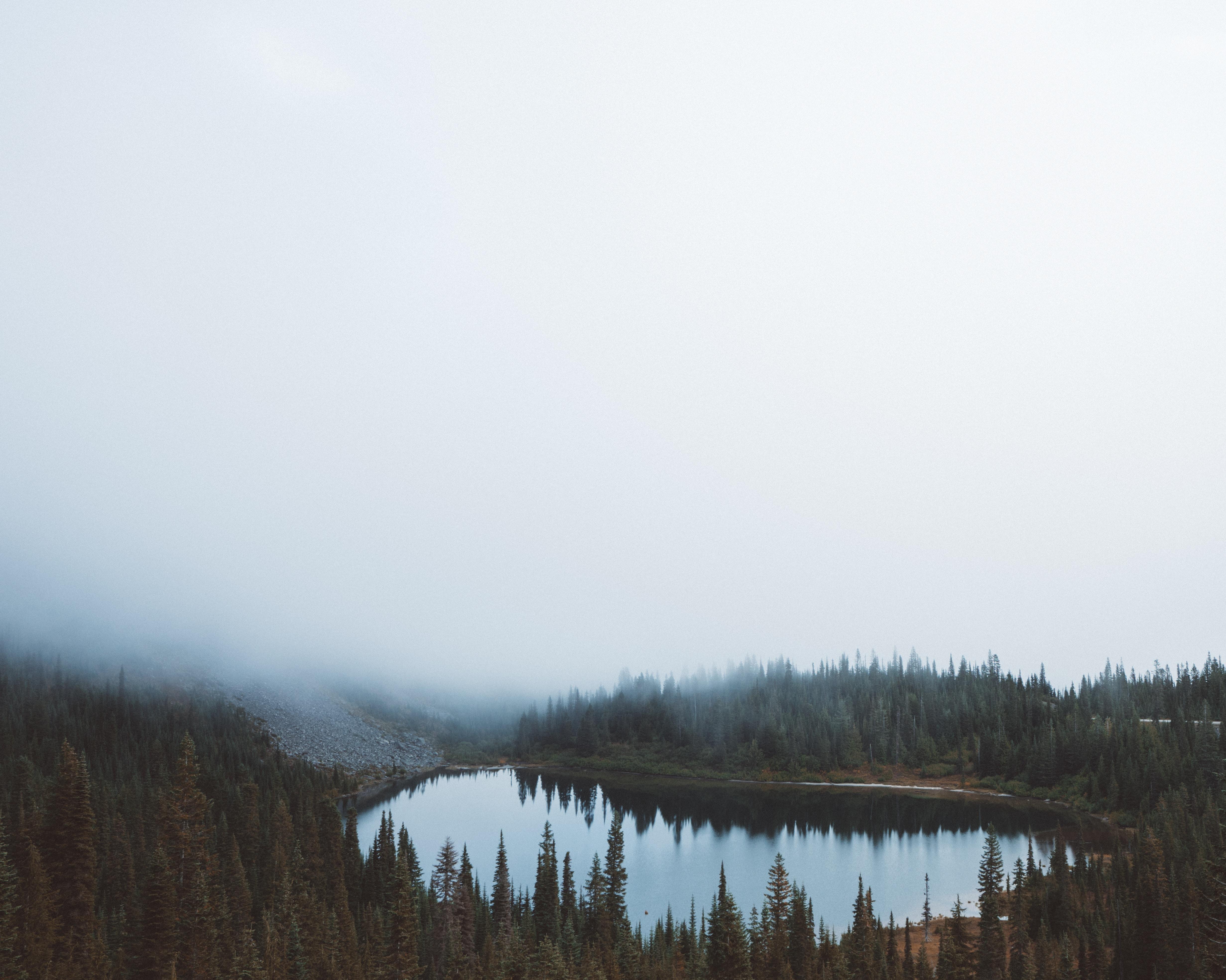 4924x3939 4924x3939 foggy, wallpaper, minimal wallpaper, minimalistic, landscape, misty, lake, calm, pine forest, fir forest, pond, minimal landscape, Public domain image, mist, sky, fog, tree, forest, nature, overcast, reflection