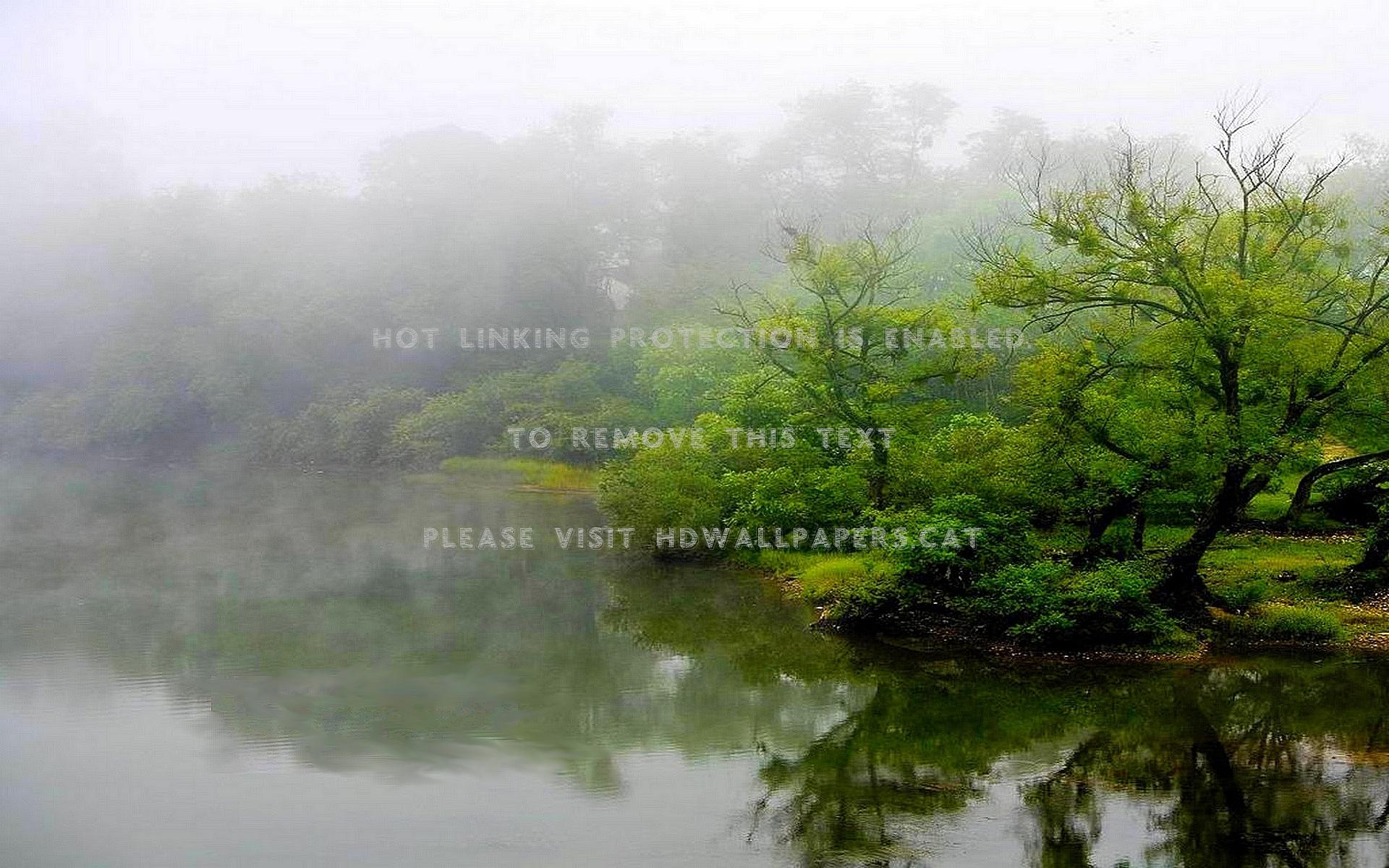 1920x1200 misty lake trees fog shadow reflections