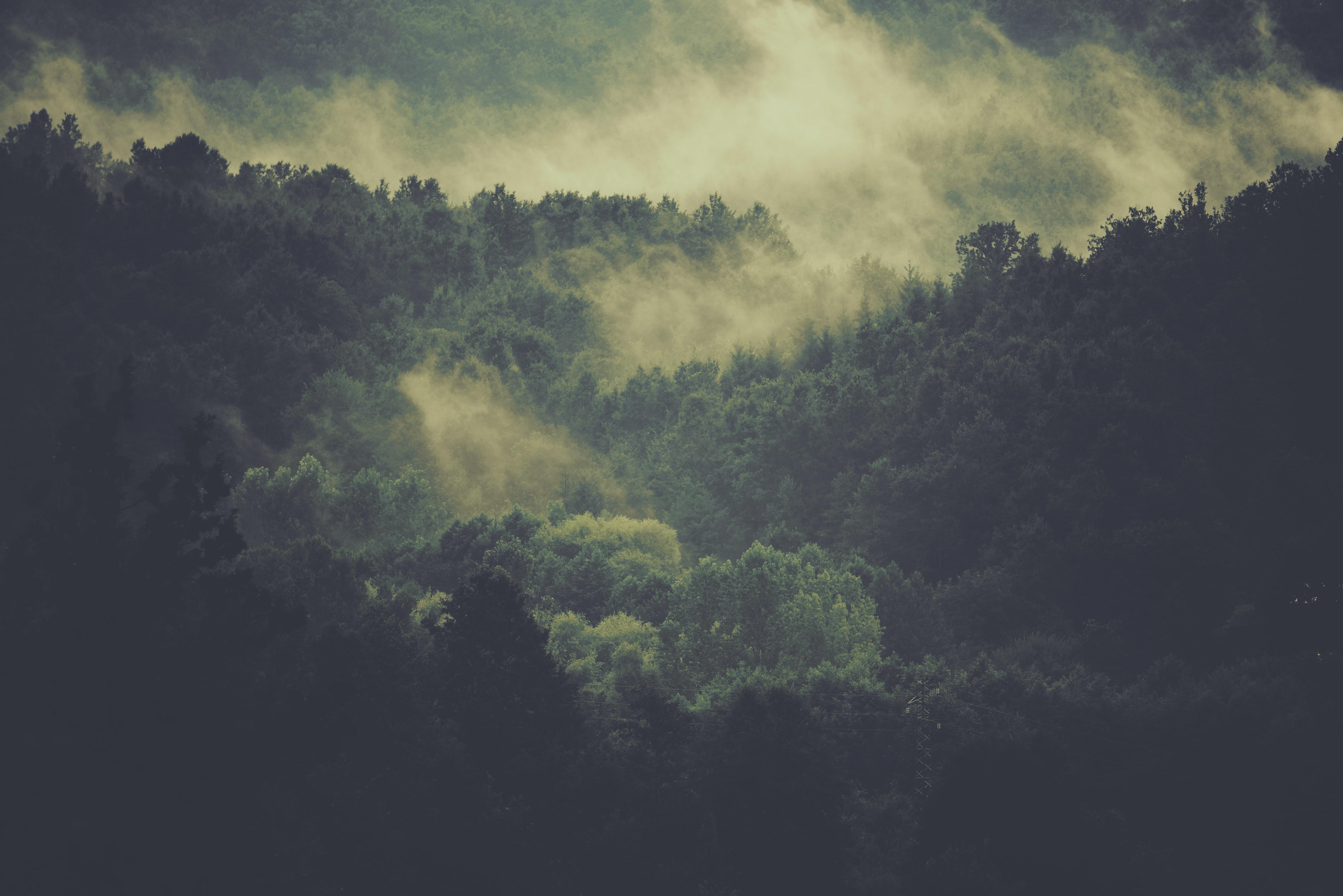 6016x4016 Misty 4K wallpaper for your desktop or mobile screen free and easy to download