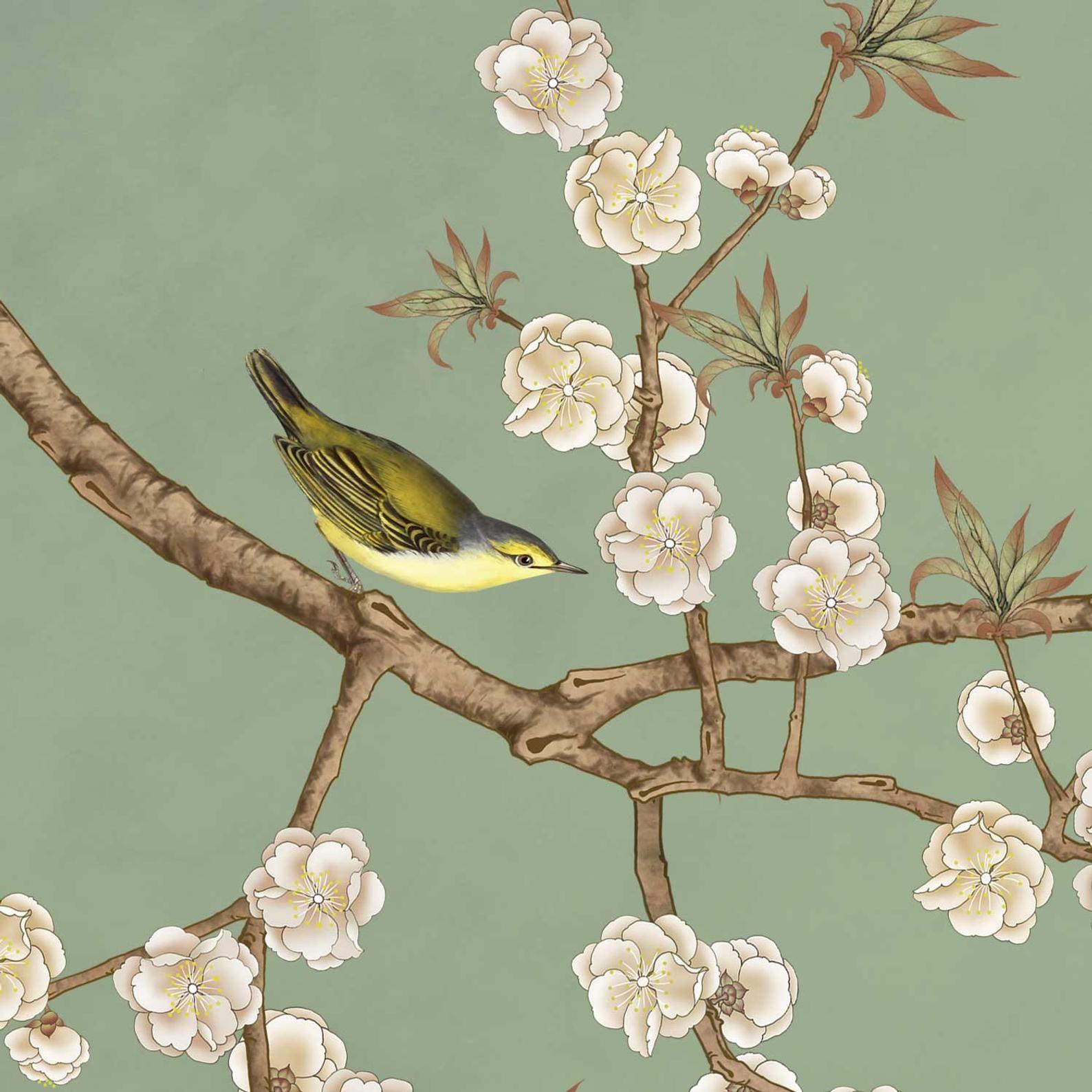 1588x1588 Nauzha chinoiserie wallpaper bird wallpaper removable wallpaper mural sample WP035. Chinoiserie wallpaper, Bird wallpaper, Vintage birds