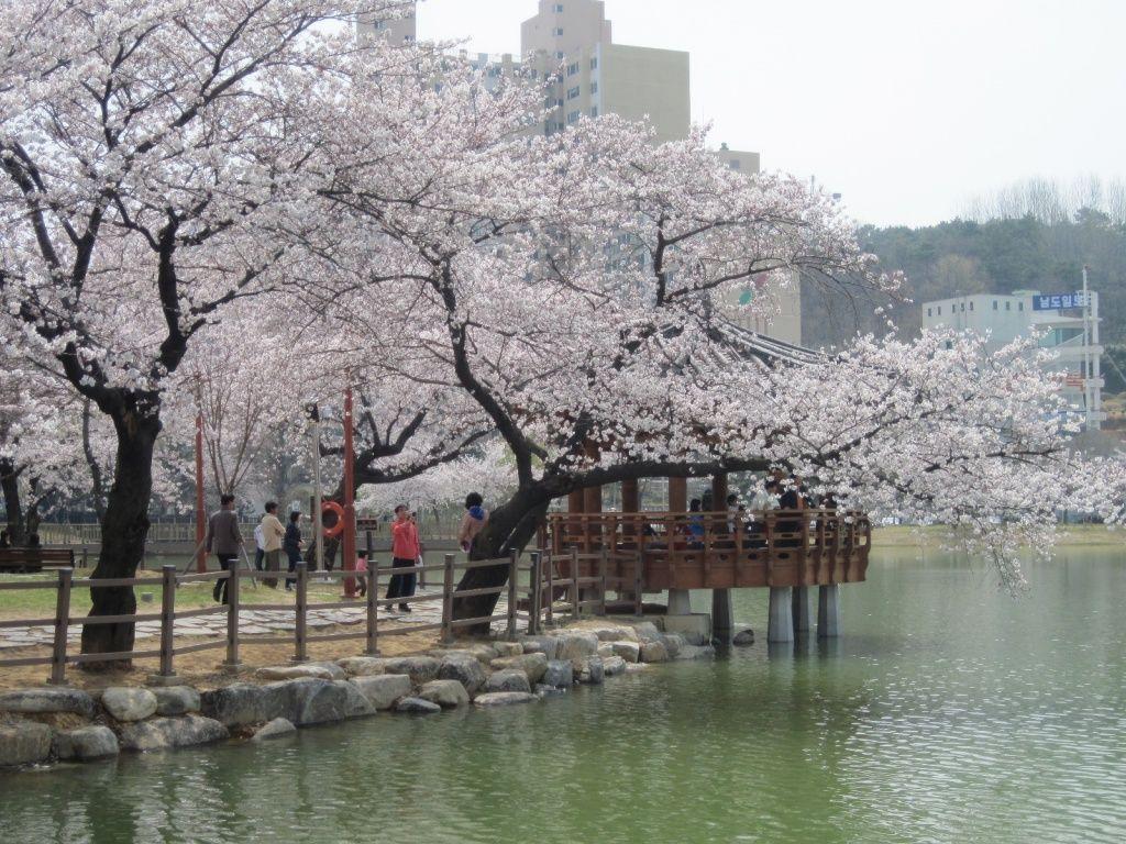 1024x768 South Korea Wallpaper