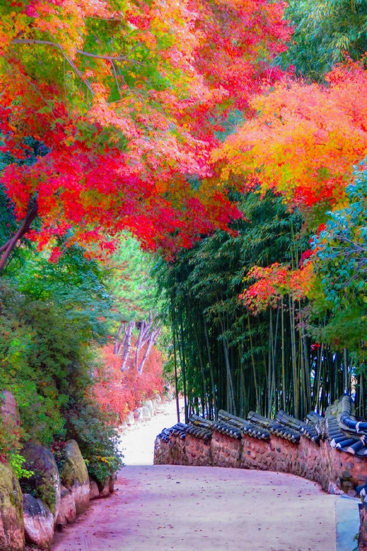 735x1102 Nature Wallpaper Korea