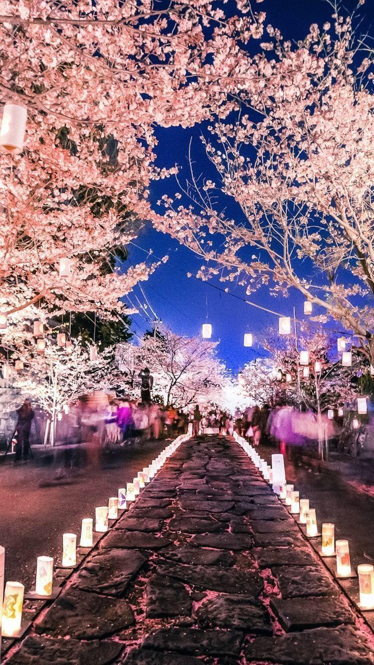 750x1334 samsung wallpaper photography #Hintergrundbild #tapete Like the paper lanterns. Downloaded. Scenery wallpaper, Beautiful nature wallpaper, Beautiful wallpaper