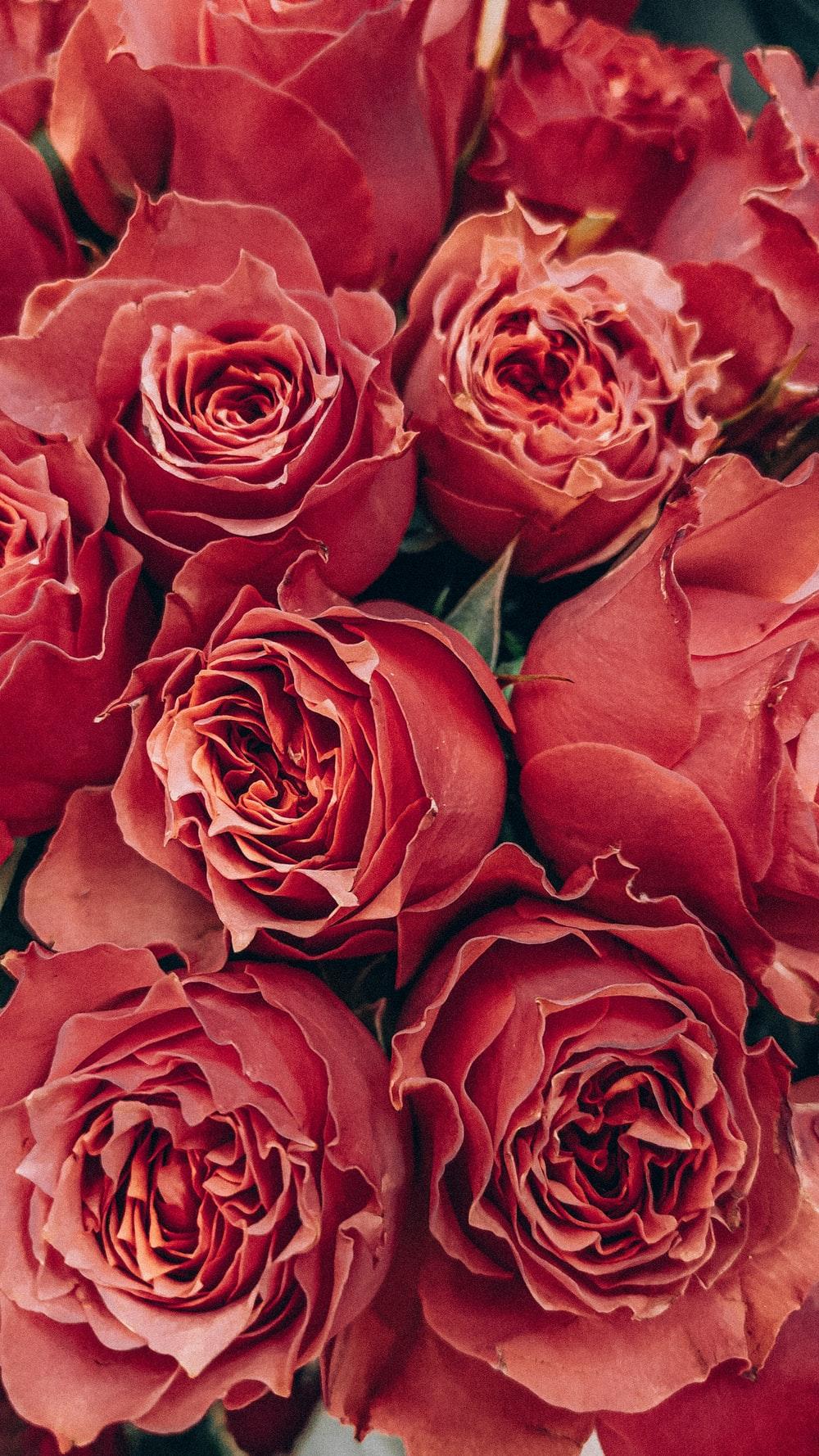 1000x1778 Vintage Flowers Picture. Download Free Image