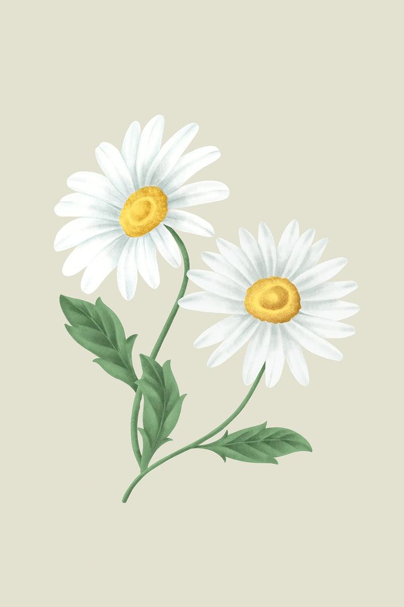 800x1200 Free Photo, PNG Stickers, Wallpaper & Background