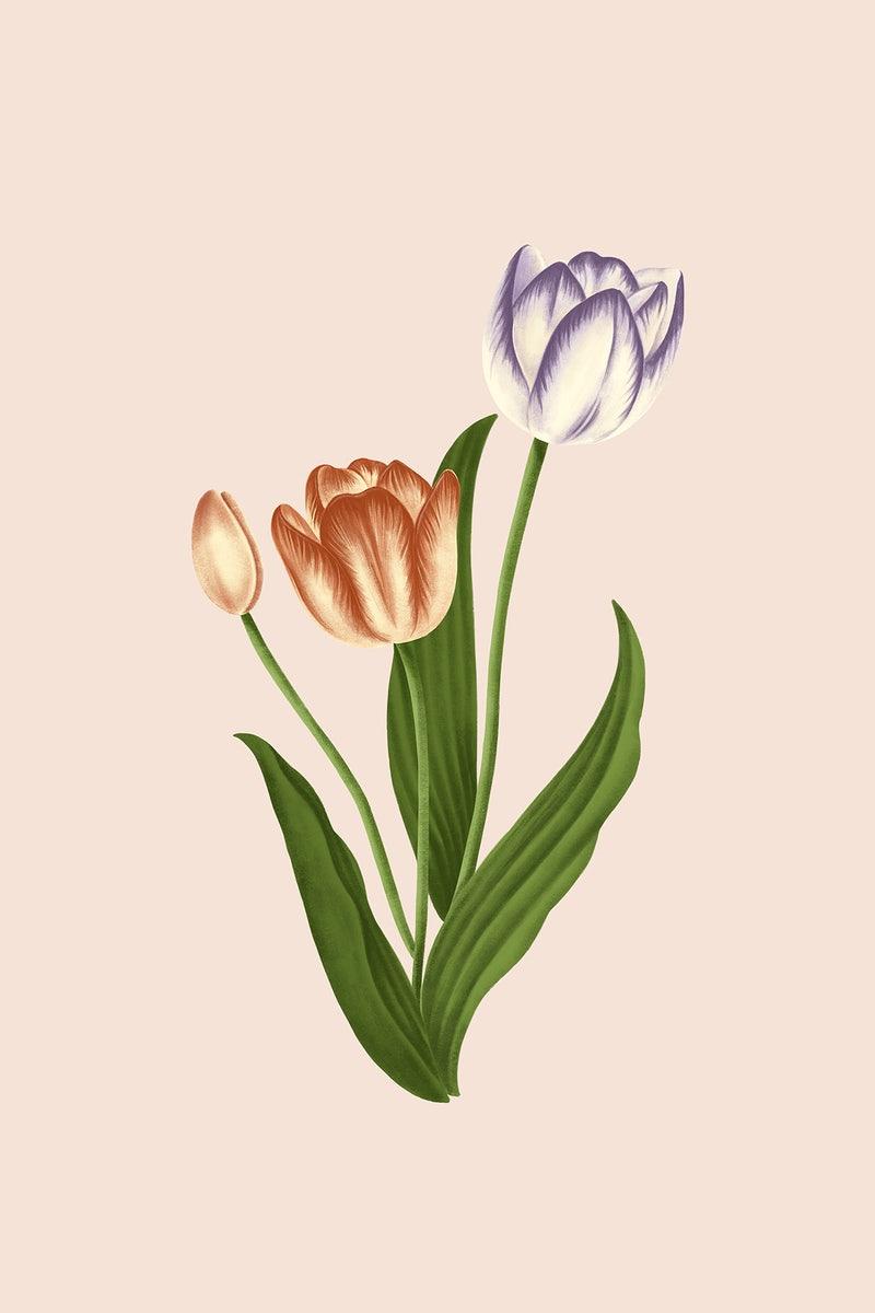 Vintage Flower Phone Wallpapers Top Free Vintage Flower Phone