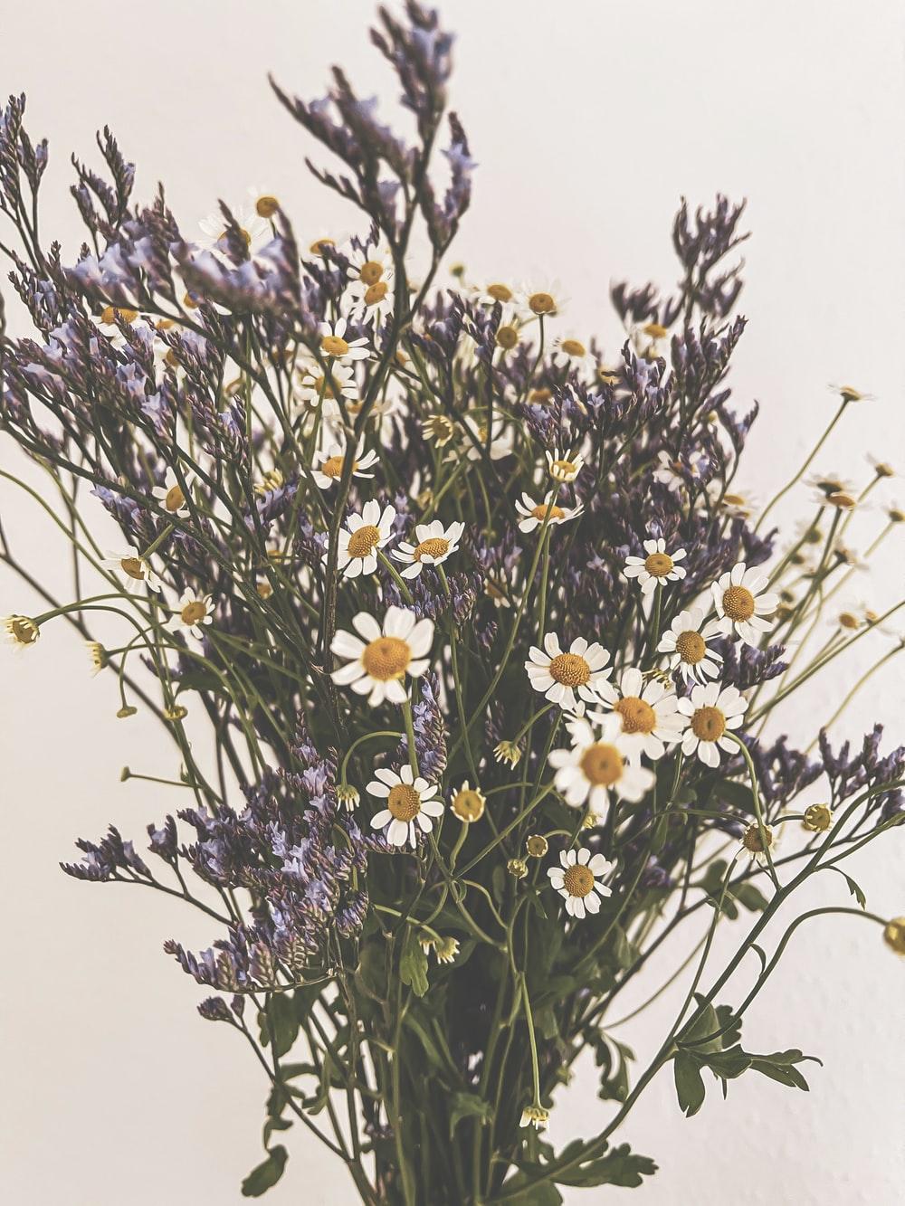 1000x1333 Vintage Flowers Picture. Download Free Image
