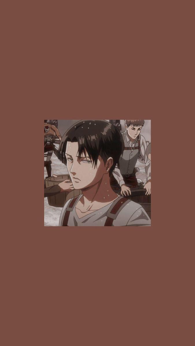 Cute Levi Ackerman Wallpapers Top Free Cute Levi Ackerman Backgrounds Wallpaperaccess