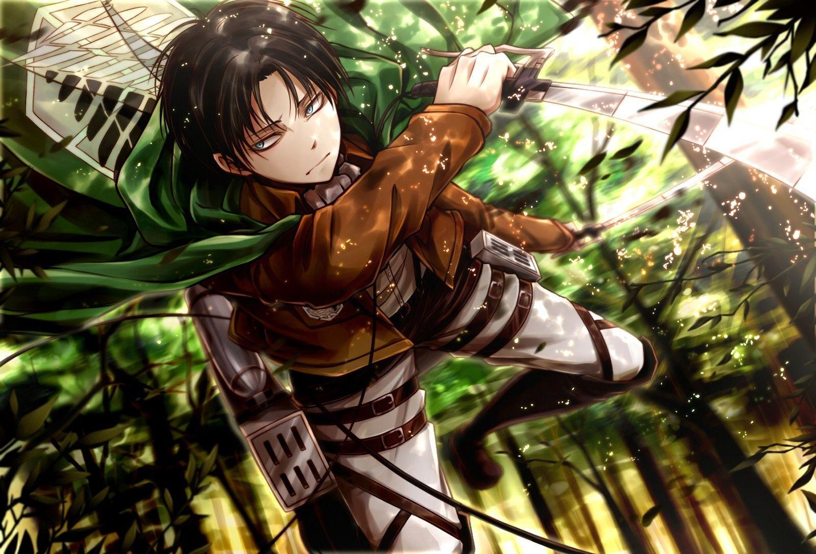 1600x1086 Rivaille Wallpaper