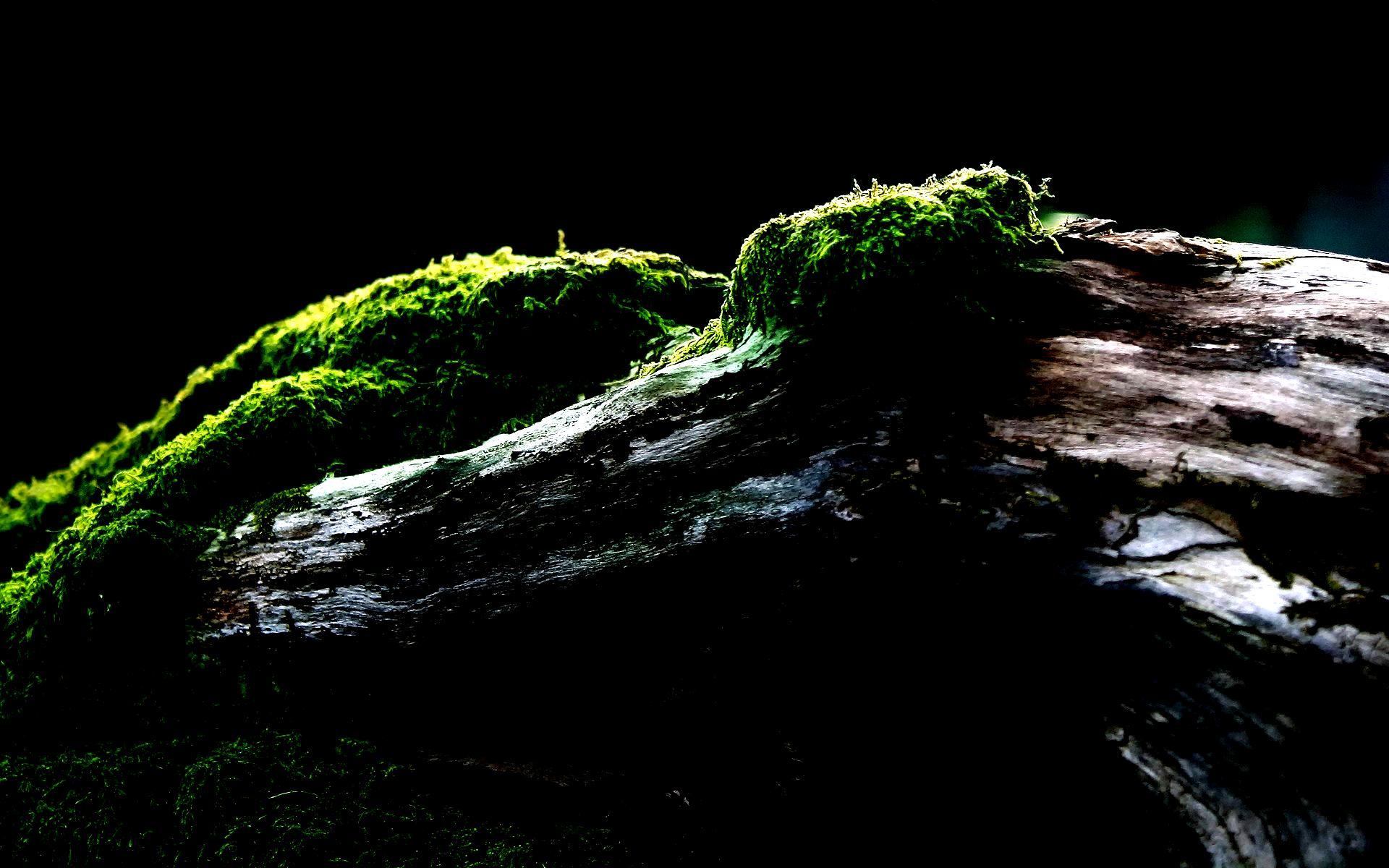1920x1200 Oled PC Wallpaper