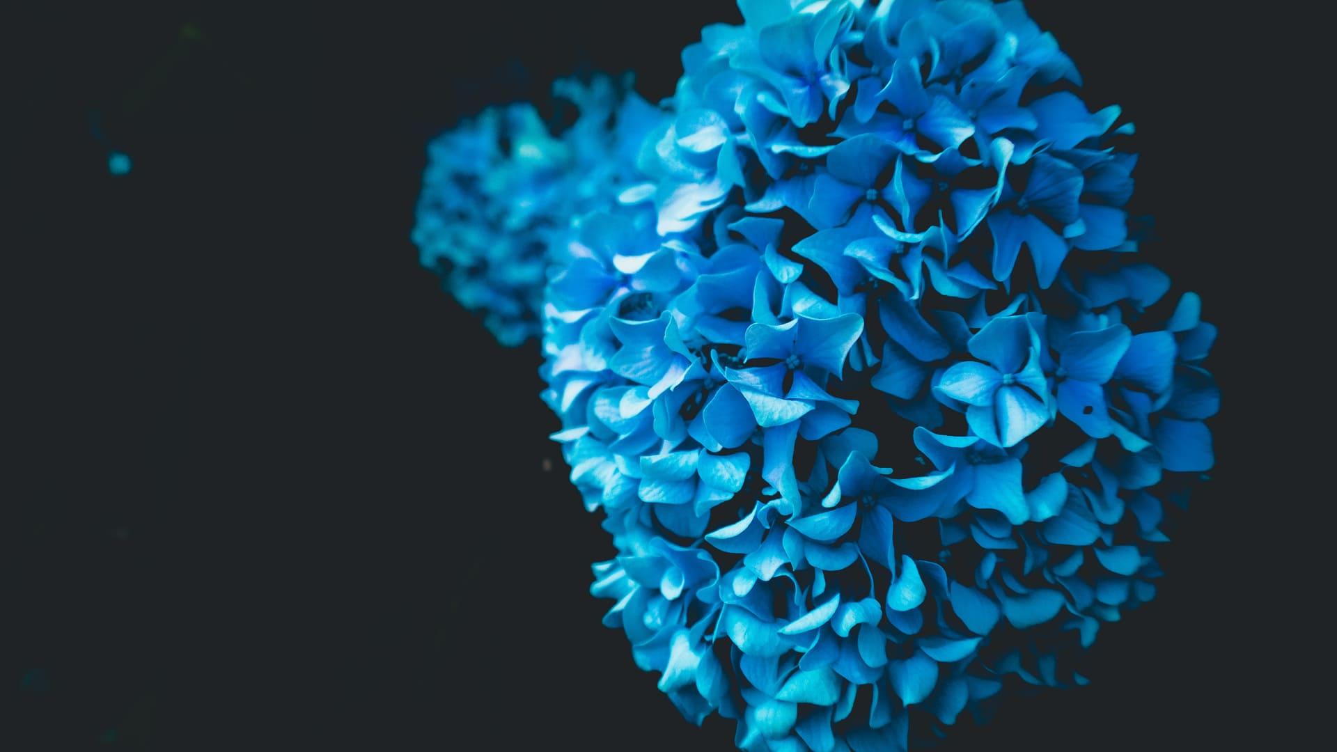 1920x1080 Amoled 4k Wallpaper Best Amoled 4k Wallpaper Download