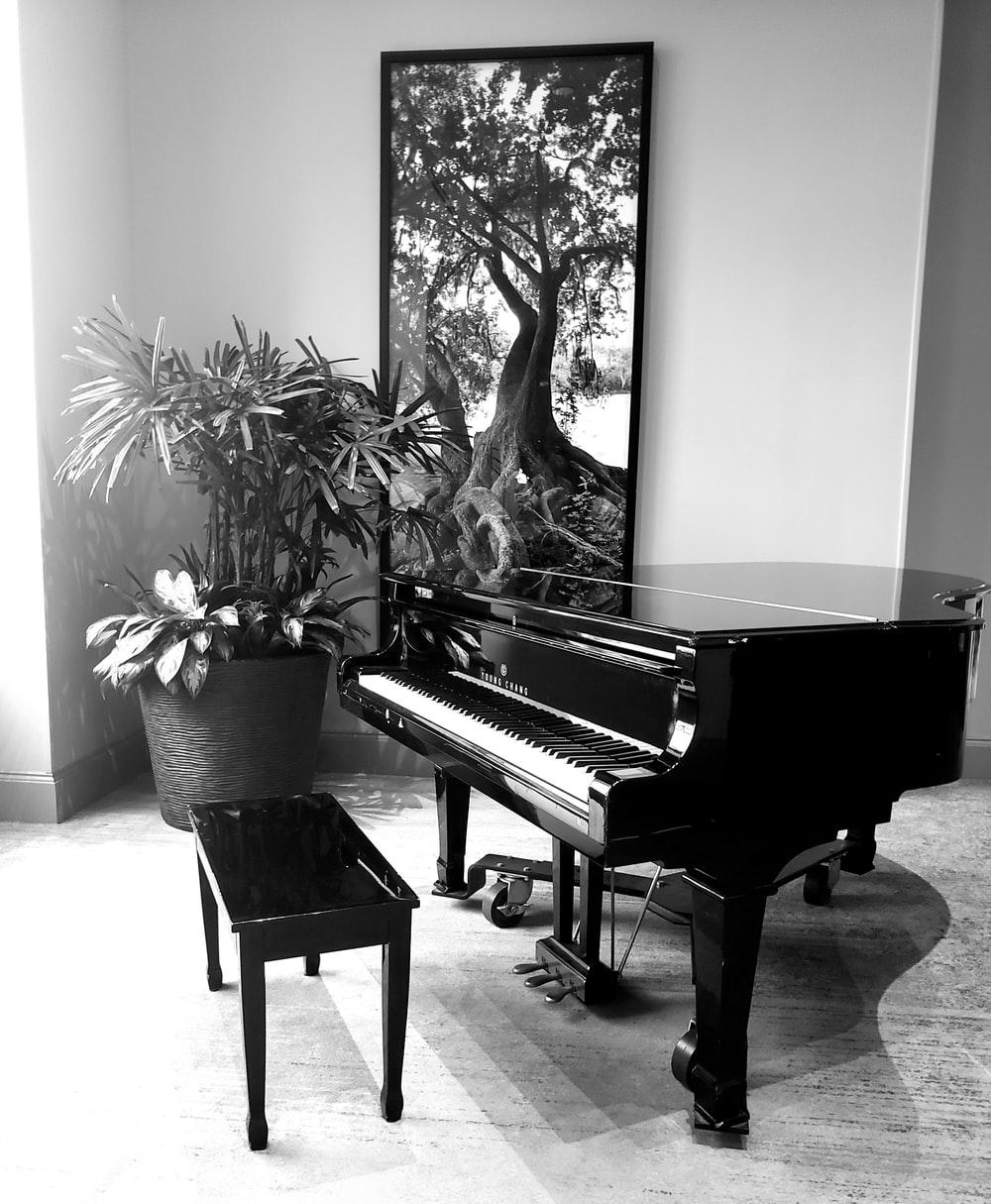 1000x1215 The Piano Picture [HD]. Download Free Image