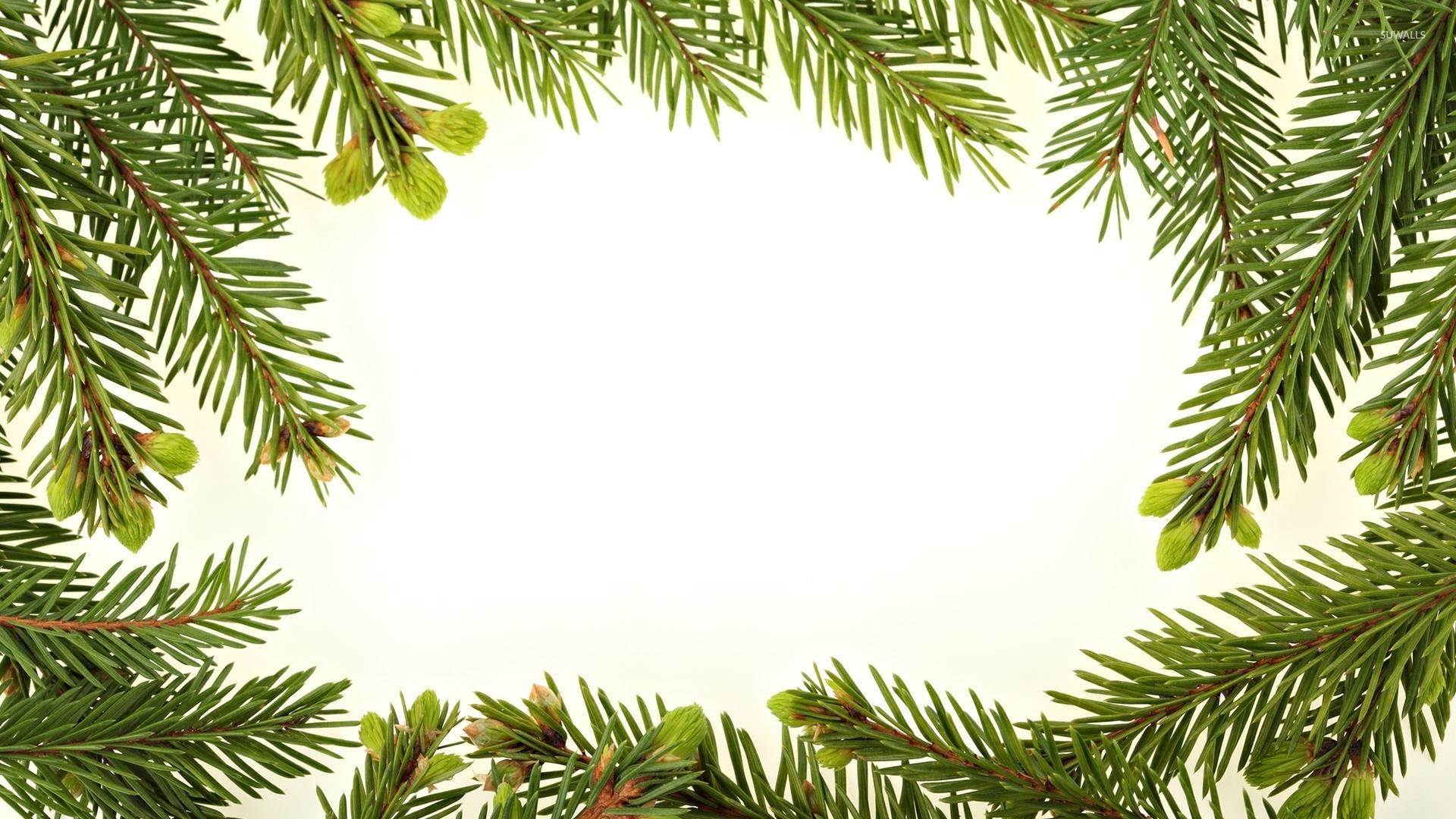 1920x1080 Fir branches wallpaper wallpaper