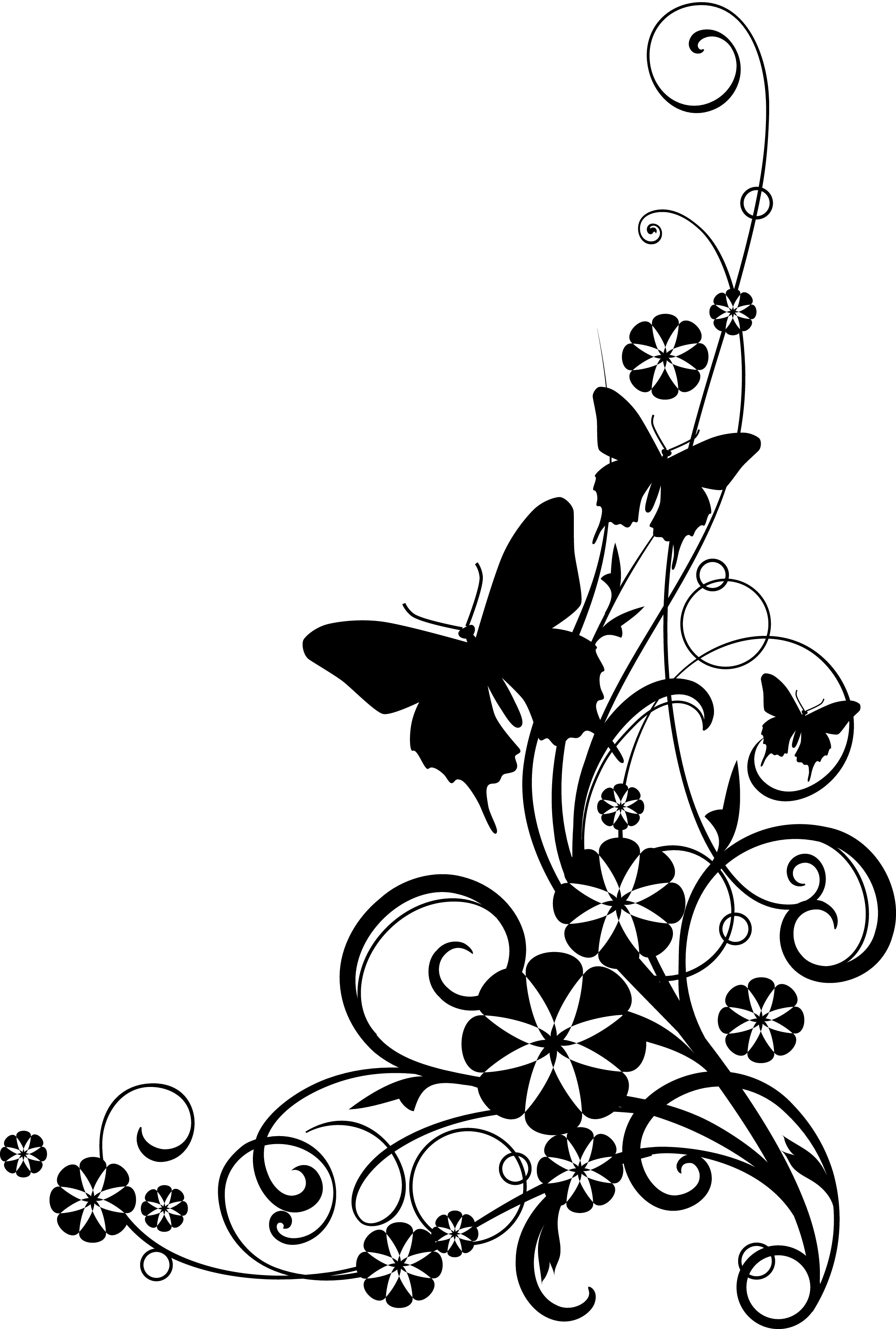 2225x3300 Free Black And White Flowers Clipart, Download Free Black And White Flowers Clipart png image, Free ClipArts on Clipart Library