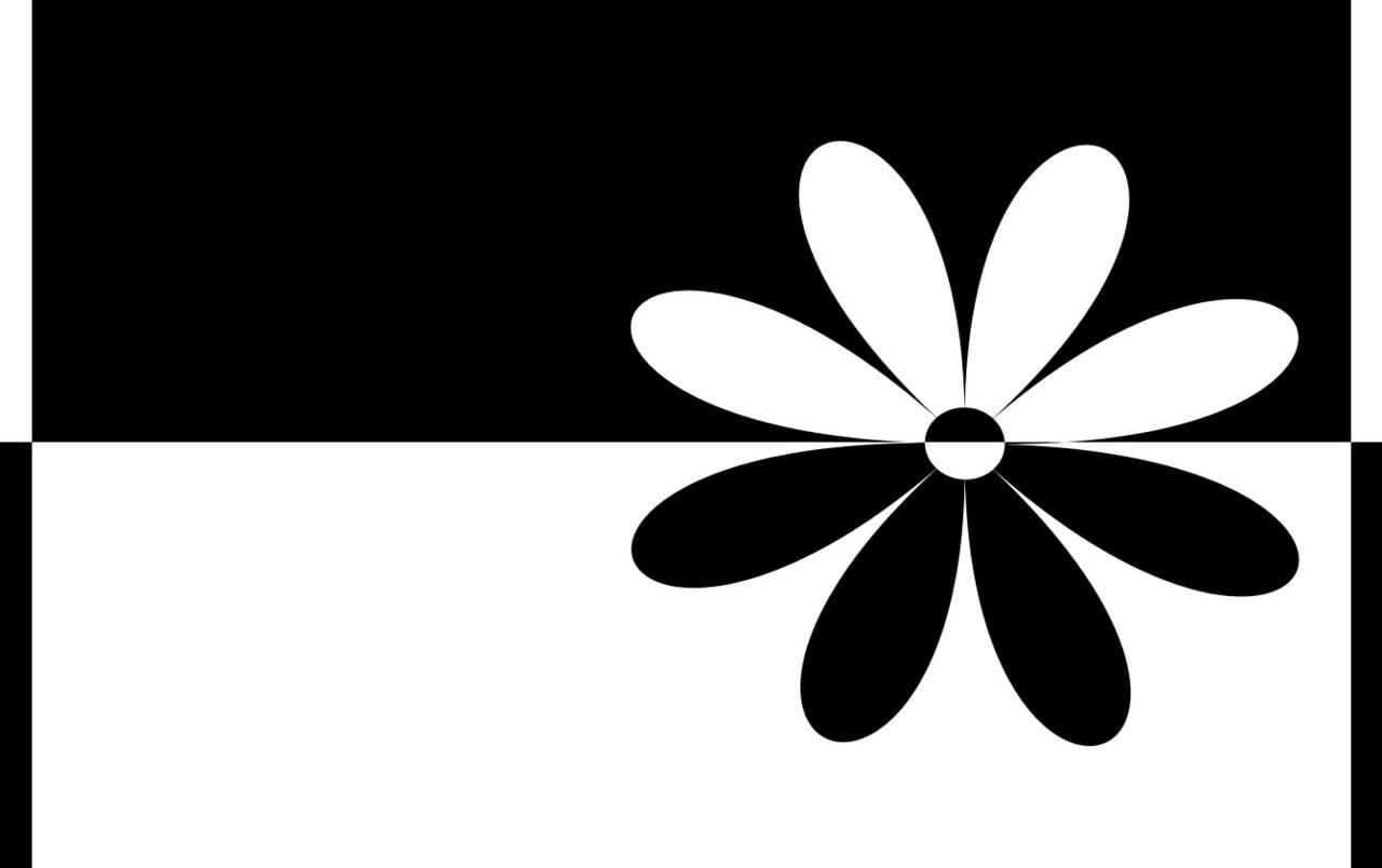1280x804 Black white flower wallpaper. Black white flower