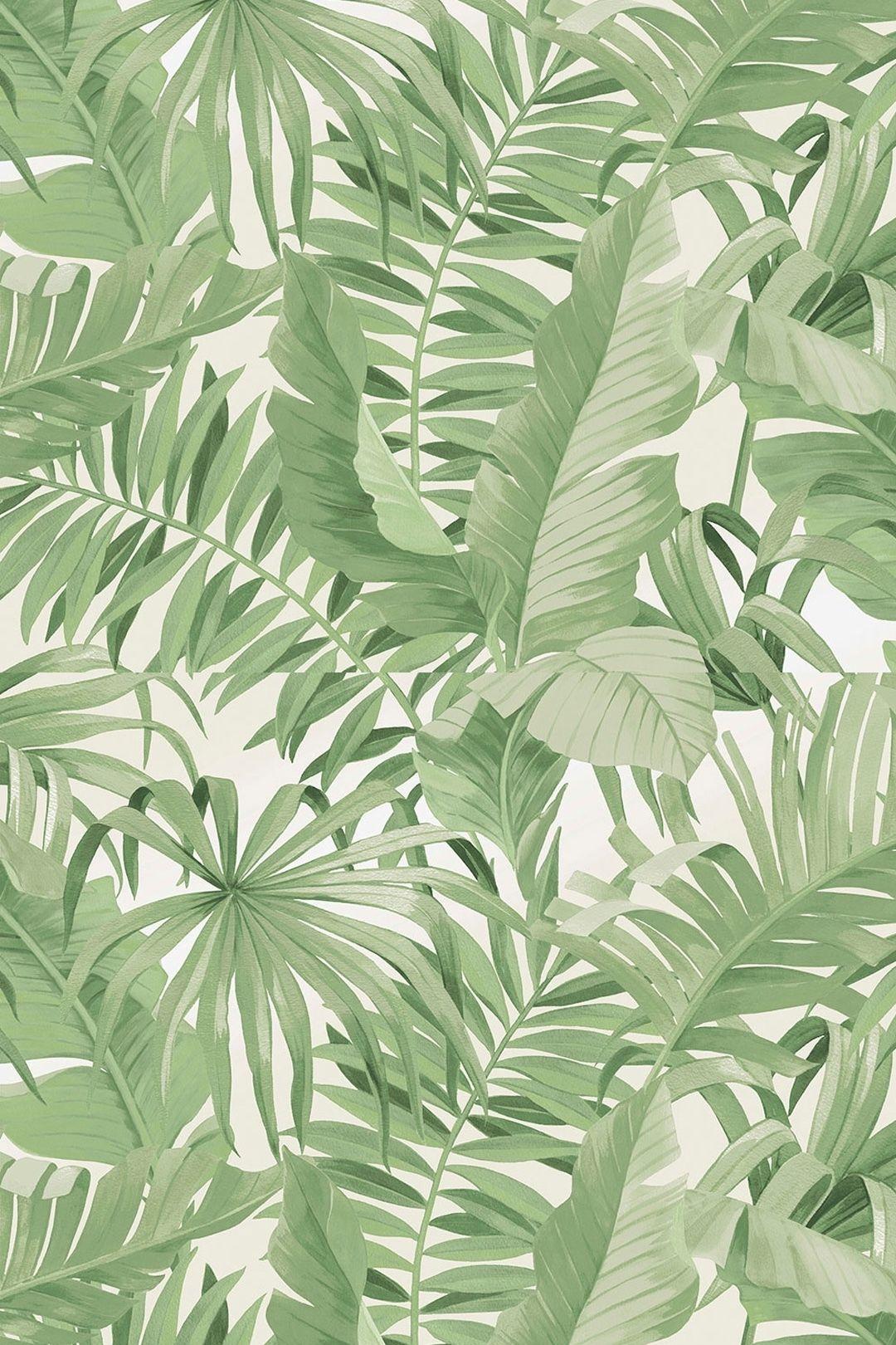 1080x1620 Palma Tropical Wallpaper Green. Tropical wallpaper, Mint green wallpaper iphone, Plant wallpaper