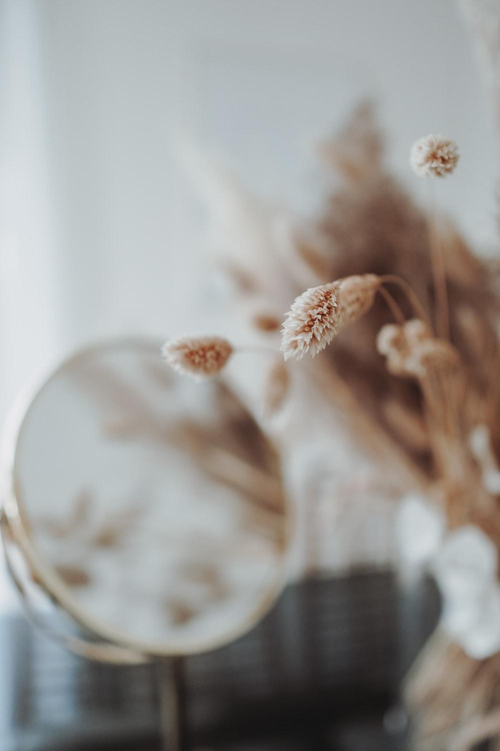 1000x1500 Boho Picture. Download Free Image