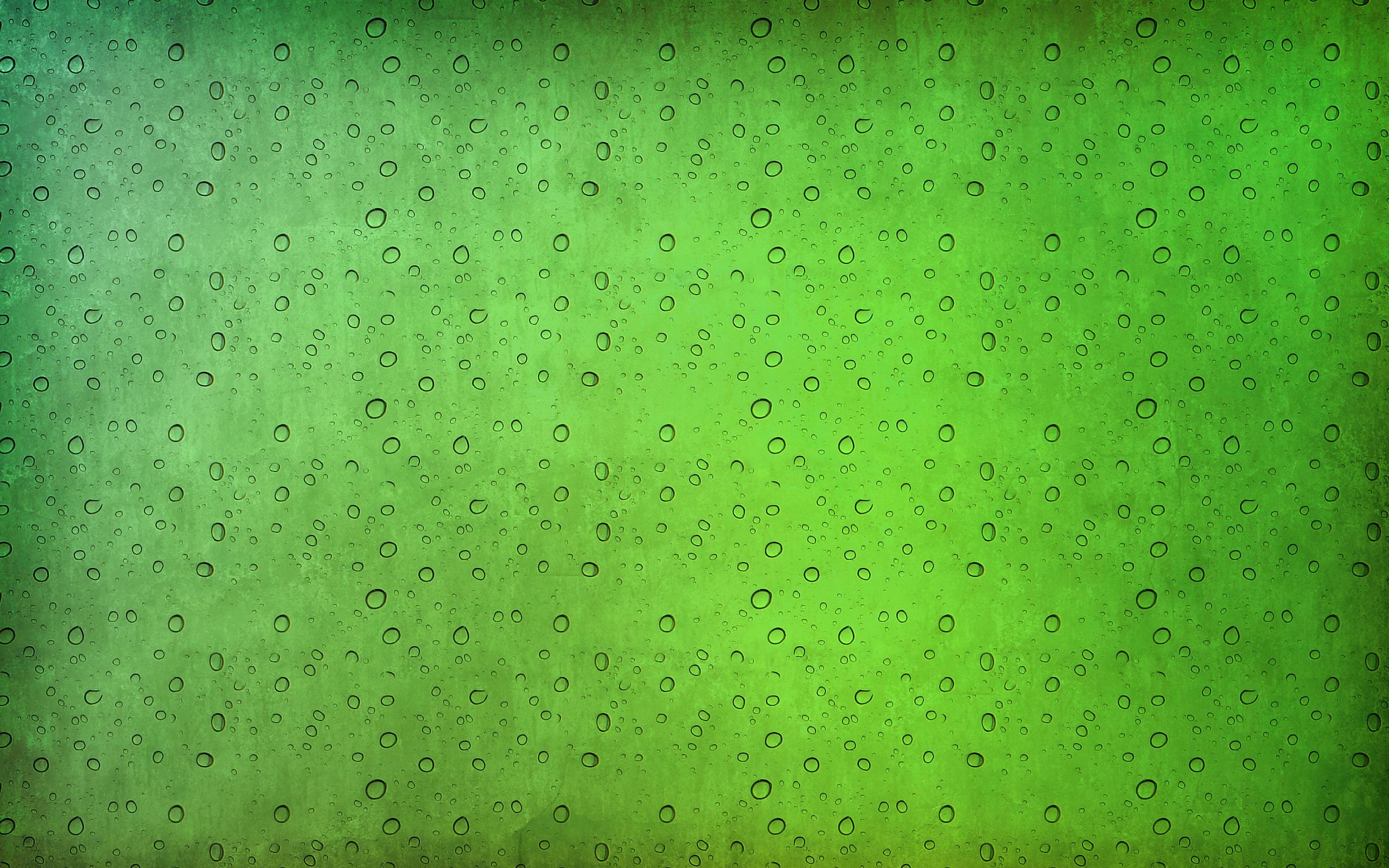 2560x1600 Green Elegant HD Wallpaper