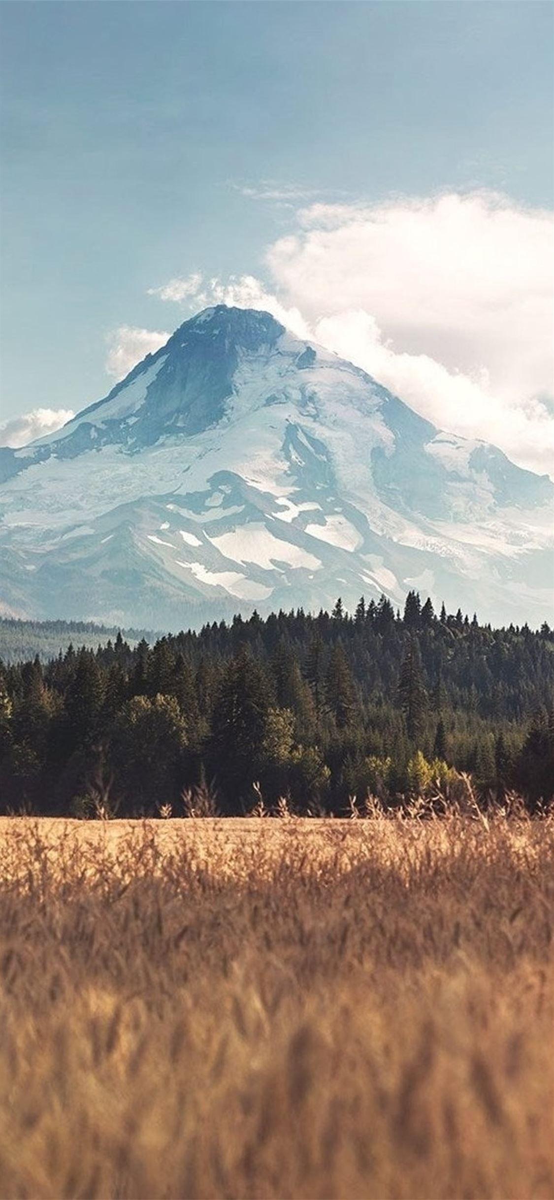 1125x2436 landscape mountain #landscape #mountains #nature #iPhone11Wallpaper. Bohemian iphone wallpaper, Phone wallpaper boho, iPhone wallpaper image