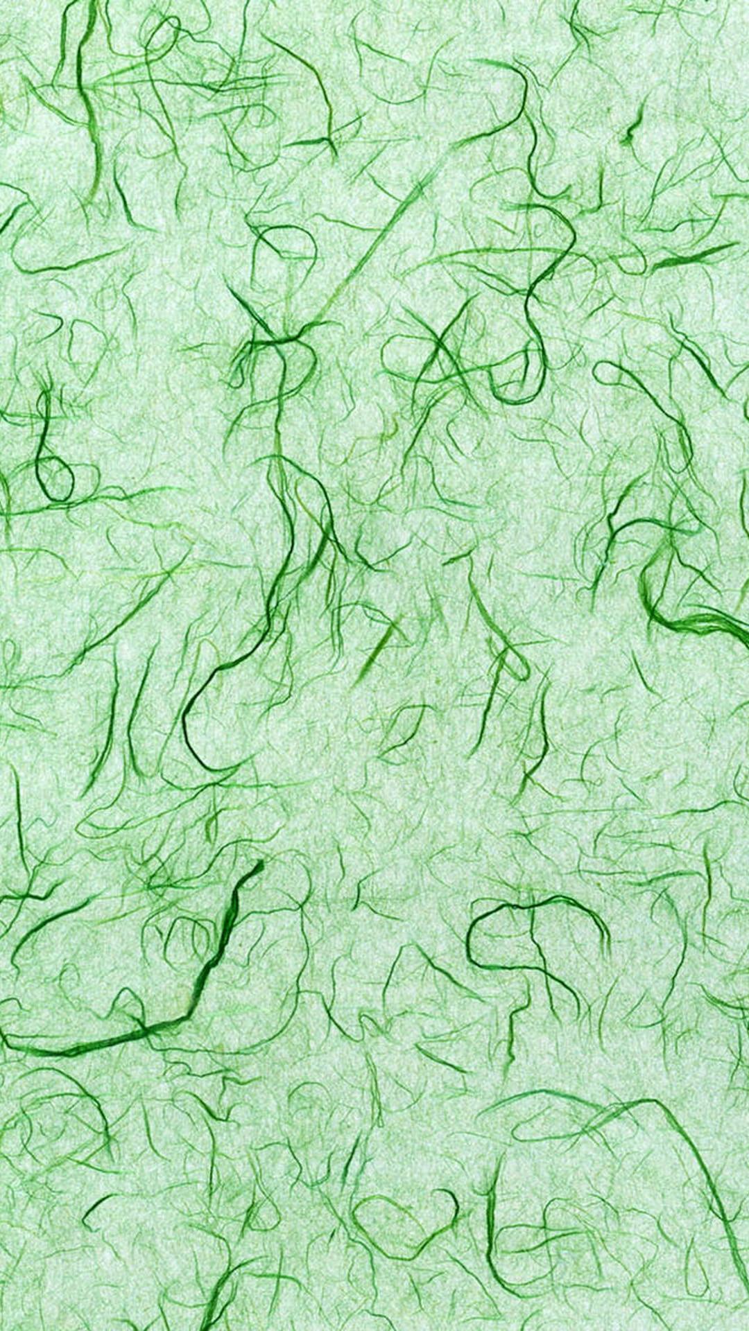 1080x1920 Green elegant illustration