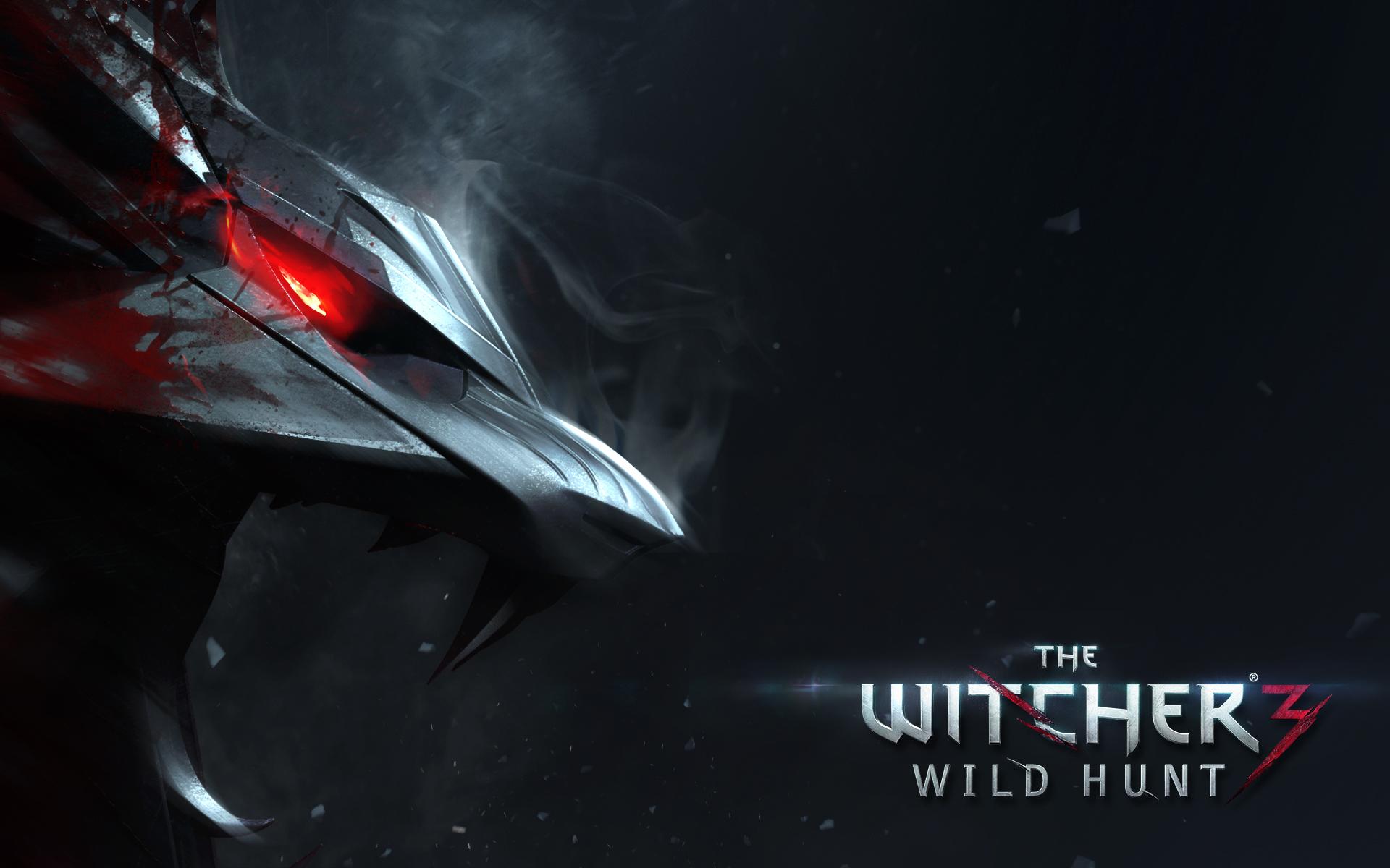 1920x1200 The Witcher 3 HD Wallpaper