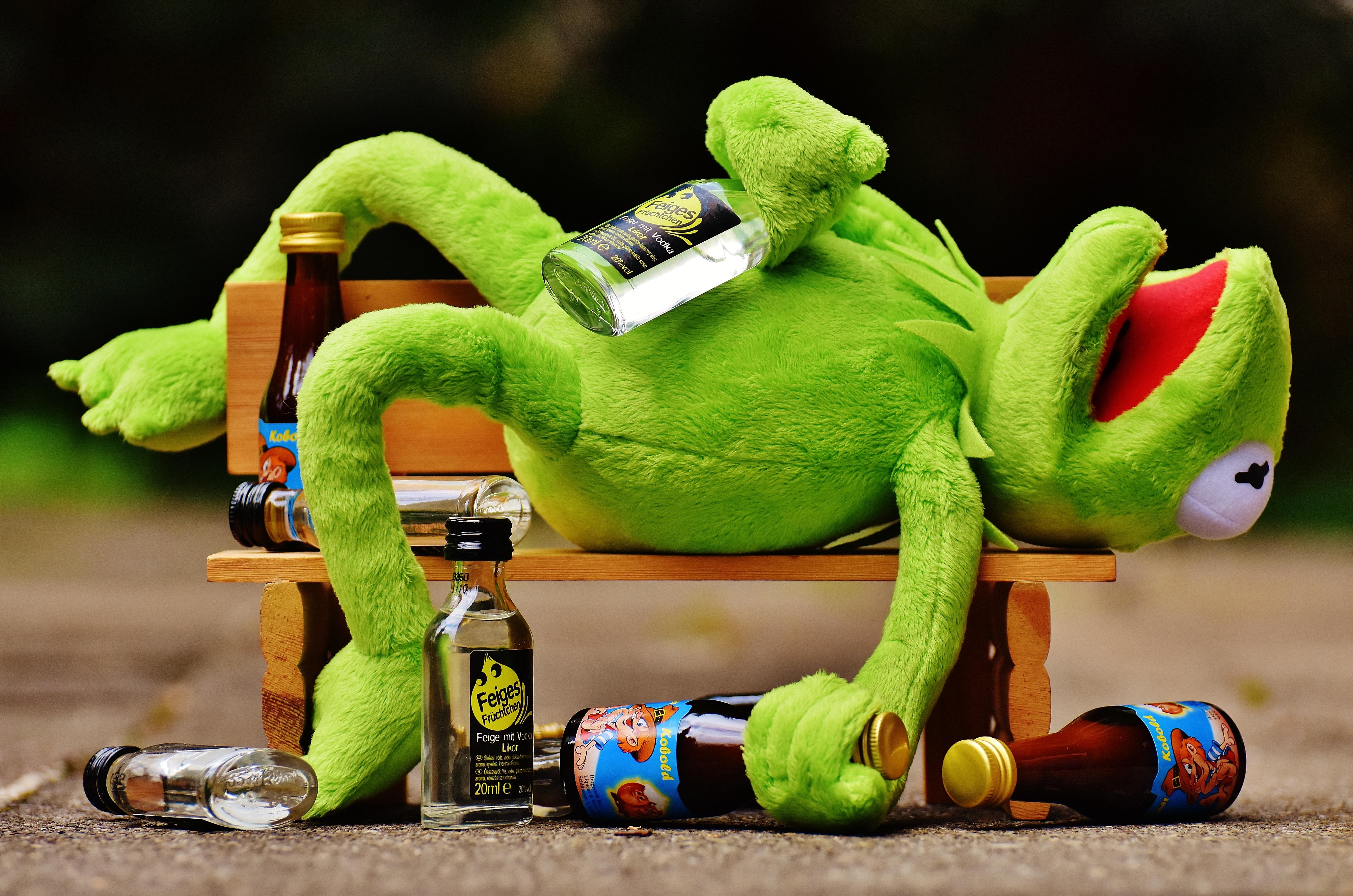 5966x3950 Free Image : green, drink, rest, frog, alcohol, fig, sit, bank, drunk, funny, plush, stuffed animal, kermit, frogs, stuffed toy 5966x3950