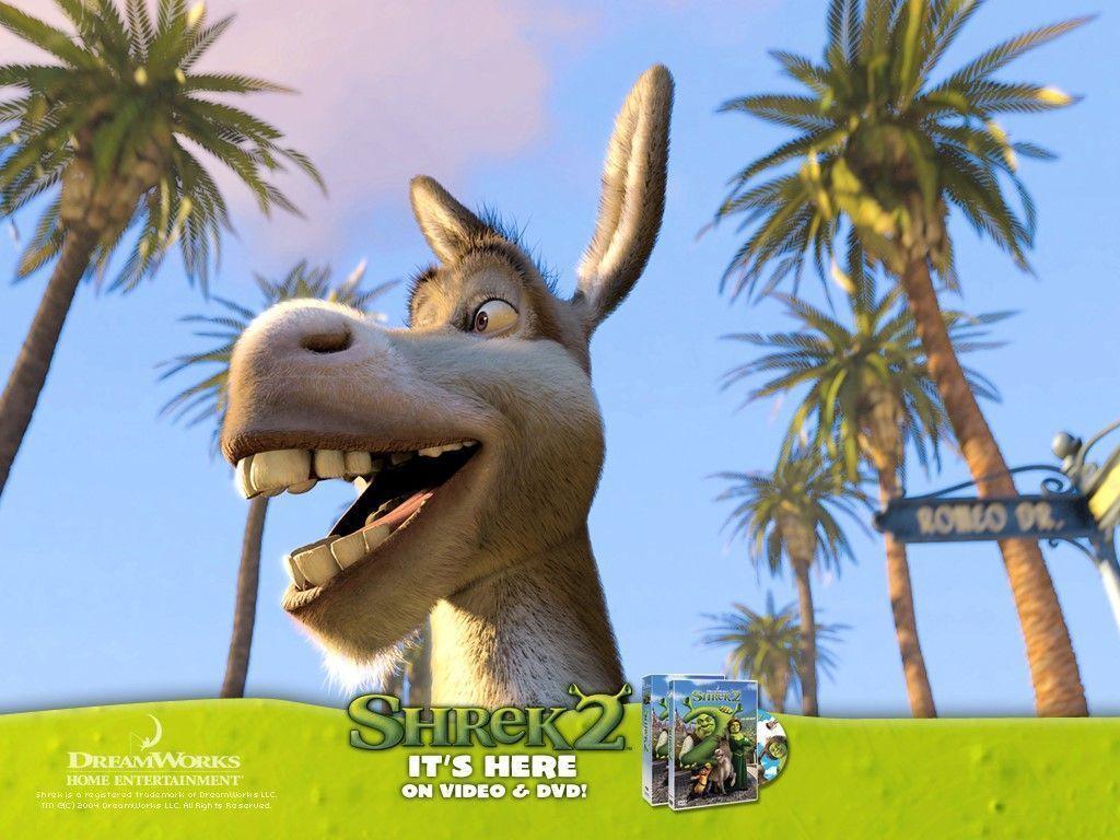 1024x768 My Free Wallpaper In Shrek 2