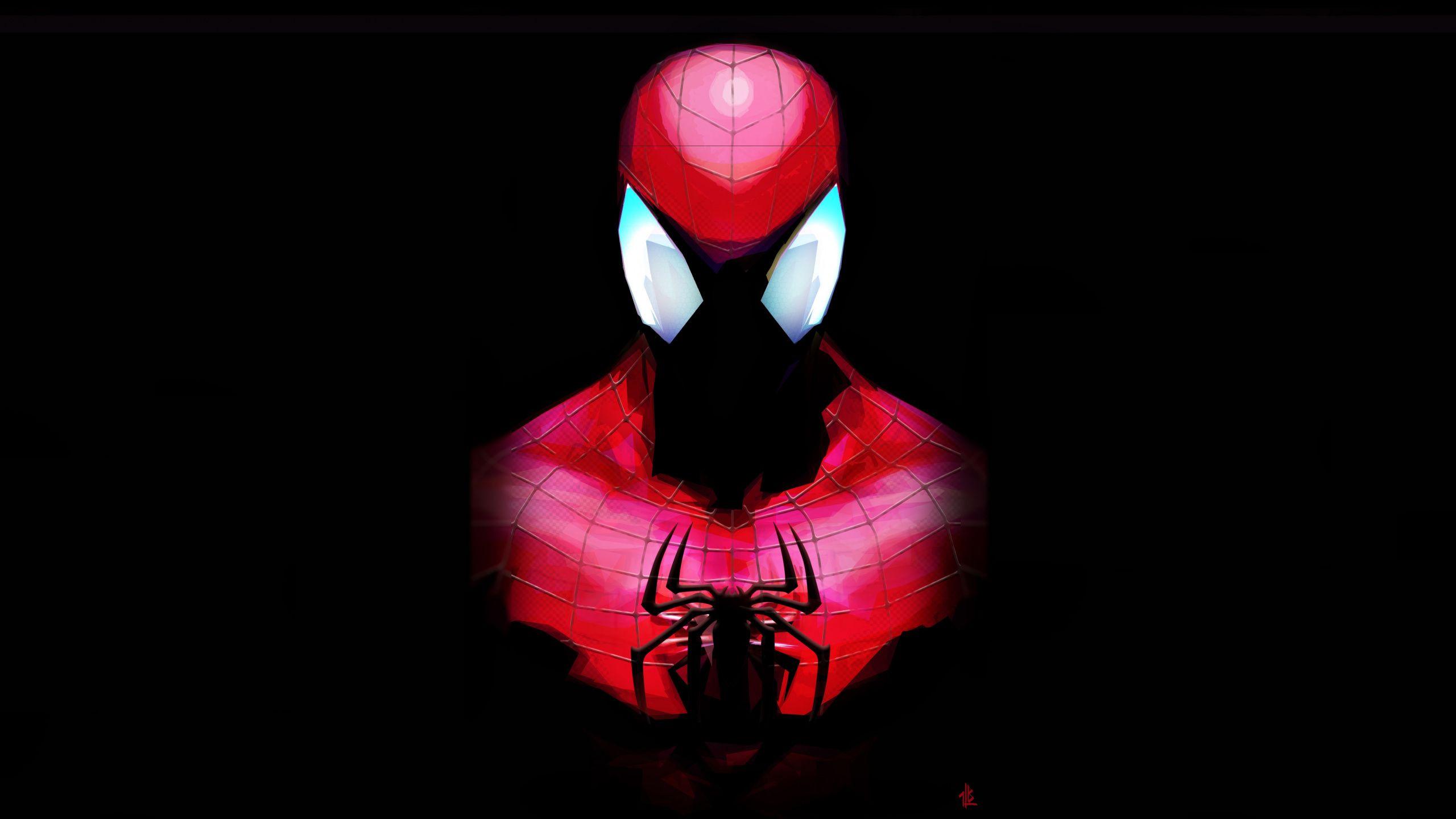 Spider Man Art Wallpapers Top Free Spider Man Art Backgrounds