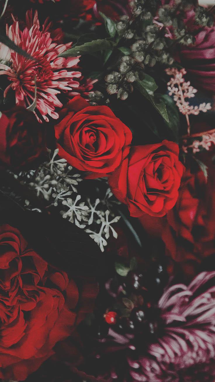 Aesthetic Black and Red Rose Wallpapers Top Free Aesthetic Black and