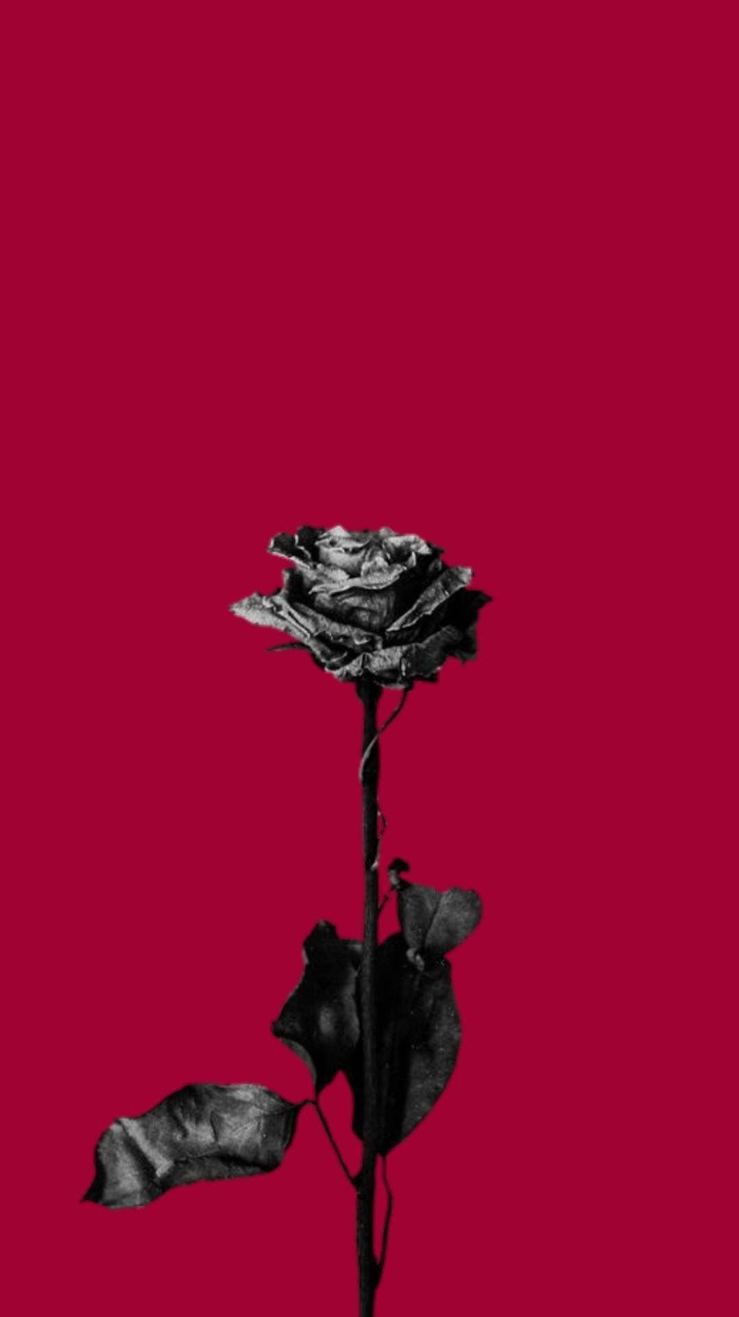 1078x1920 Red Flower Aesthetic Wallpaper