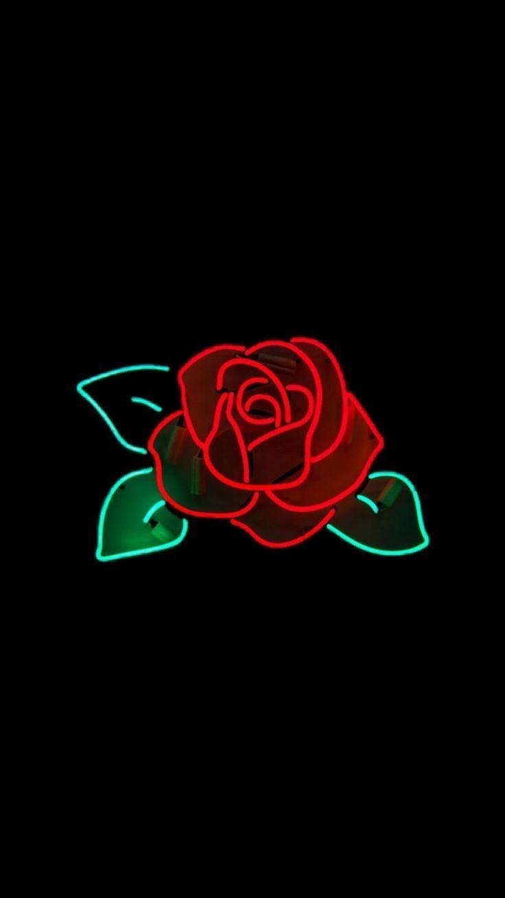 736x1309 Neon Rose Wallpaper