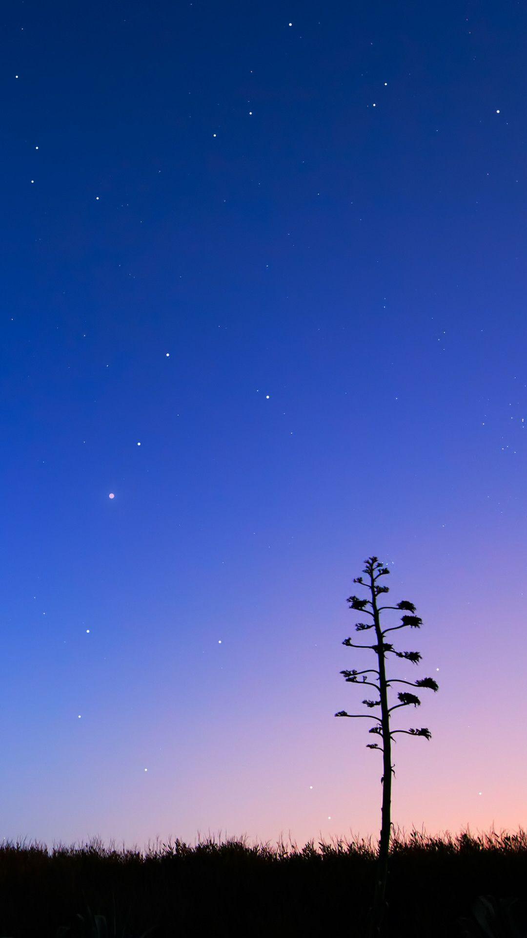 1080x1920 Night Sky Wallpaper