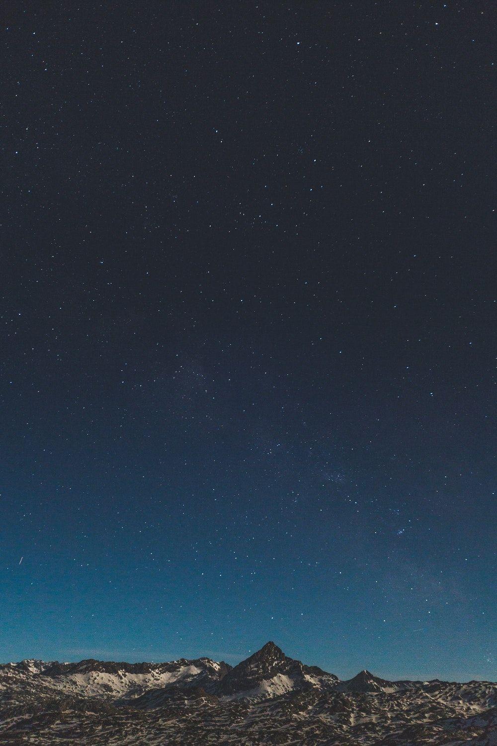 1000x1500 iPhone wallpaper best free iphone wallpaper, forest, wallpaper