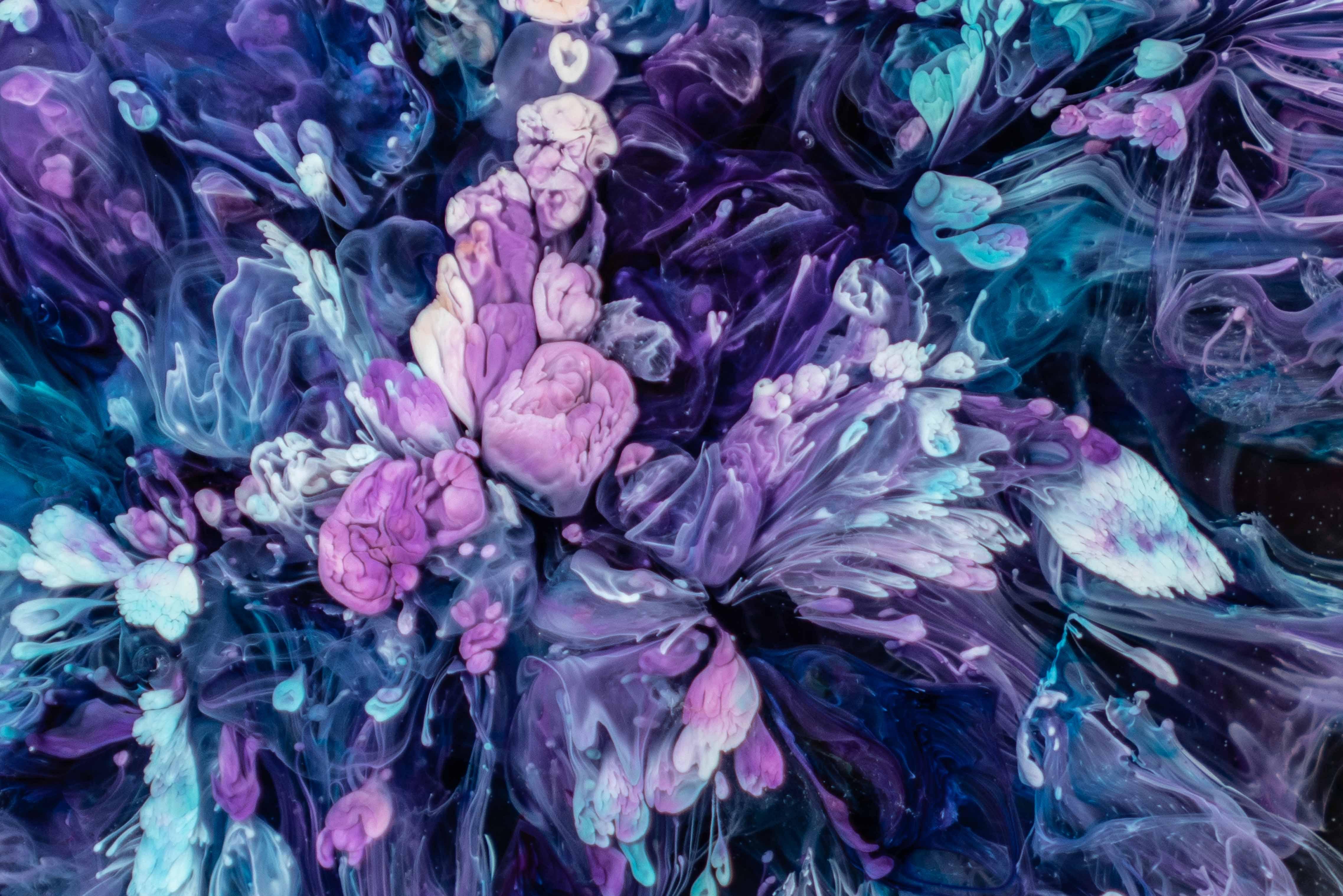 4550x3035 4550x3035 #wallpaper, #graphics, #plant, #outdoors, #water, #absract, #reef, #animal, #art, #ocean, #purple, #blossom, #Free picture, #painting, #sea life, #floral design, #pattern, #sea, #nature, #flower, #colorful. Mocah HD Wallpaper