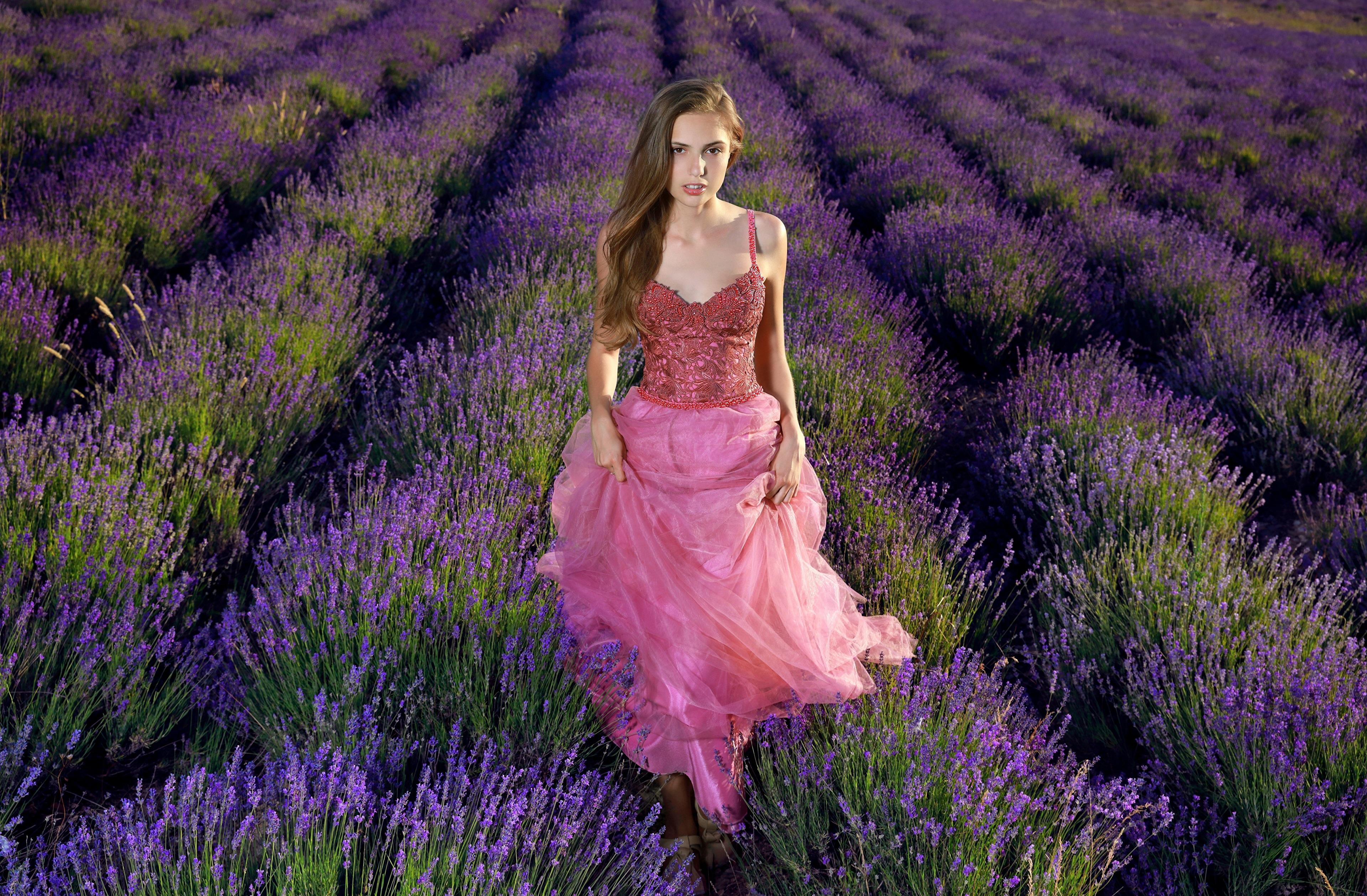 3840x2518 Lavender Field Girl Dress Cute 4k, HD Girls, 4k Wallpaper, Image, Background, Photo and Picture