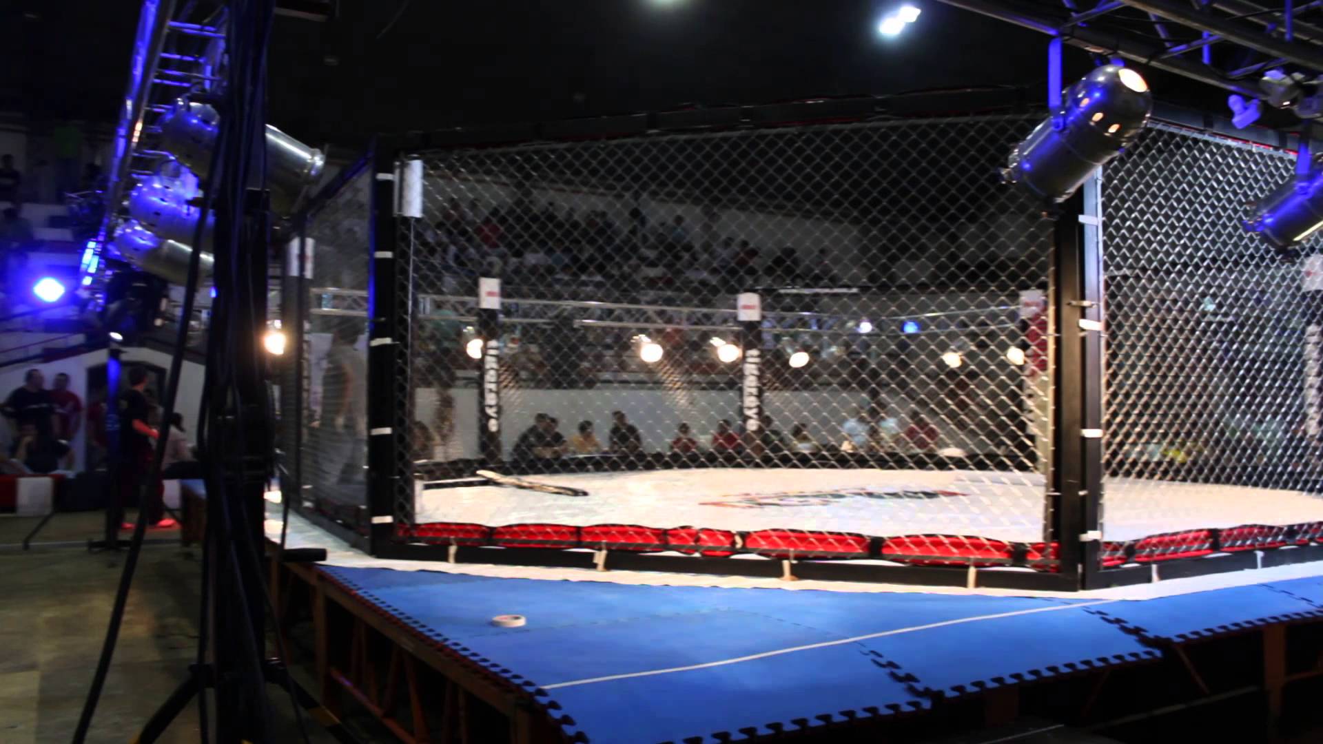 1920x1080 Mma Cage Wallpaper HD