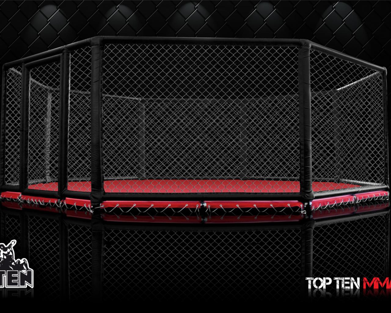 1280x1024 Free download wallpaper mma cage [1680x1050] for your Desktop, Mobile & Tablet. Explore Mma Wallpaper. HD MMA Wallpaper, MMA iPhone Wallpaper, Wallpaper Martial Arts