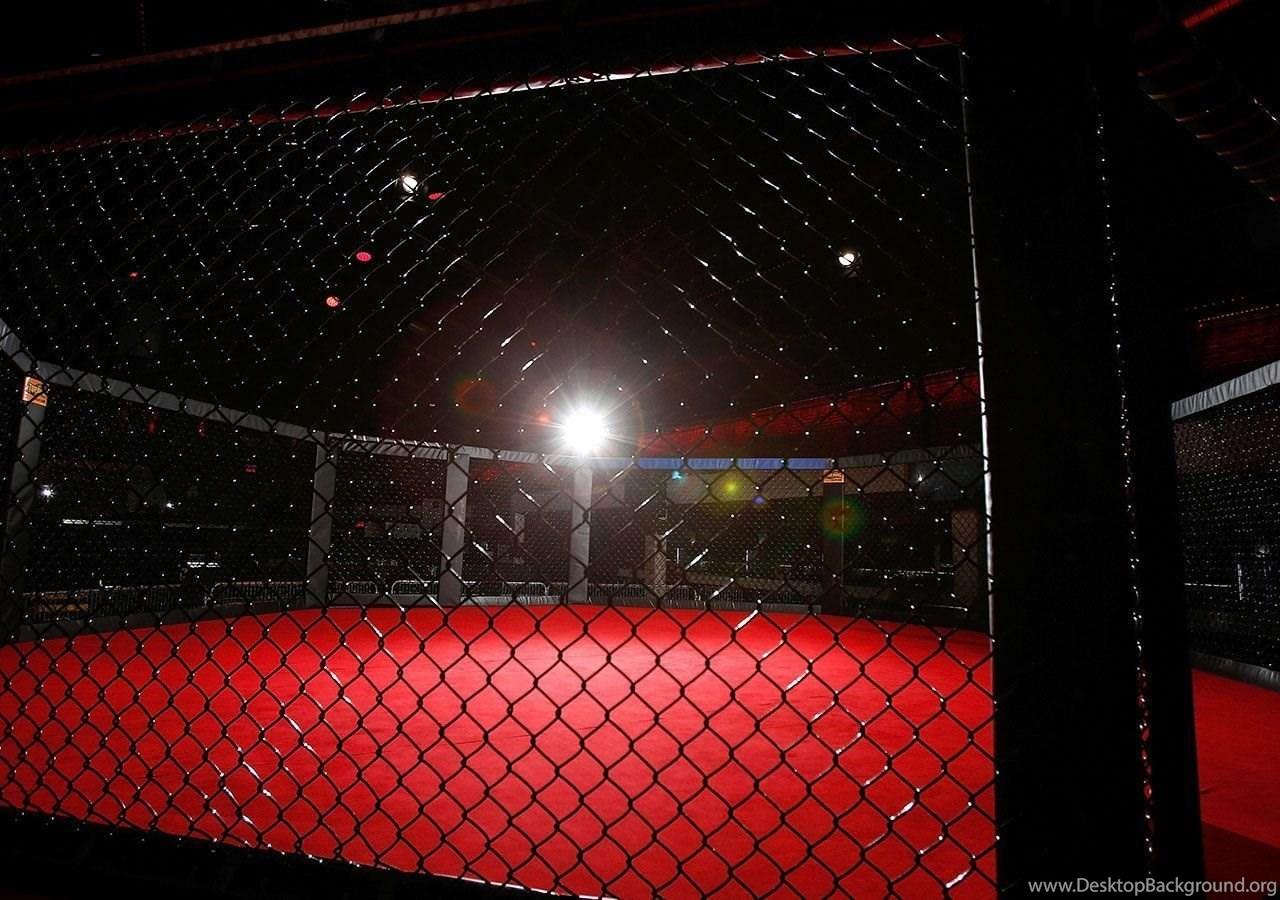 1280x900 Top Ufc Cage Wallpaper Image For Pinterest Desktop Background