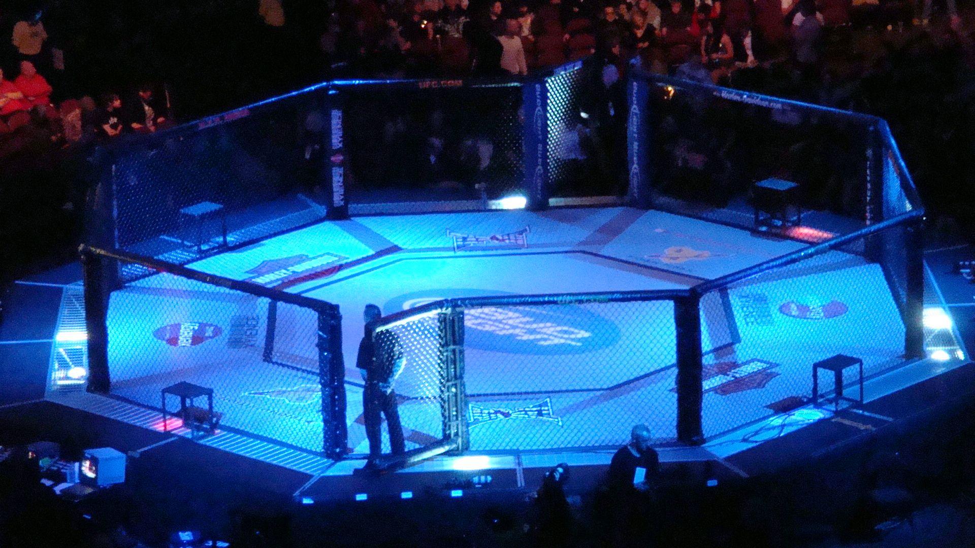 1920x1080 UFC Octagon Wallpaper, HD UFC Octagon Background