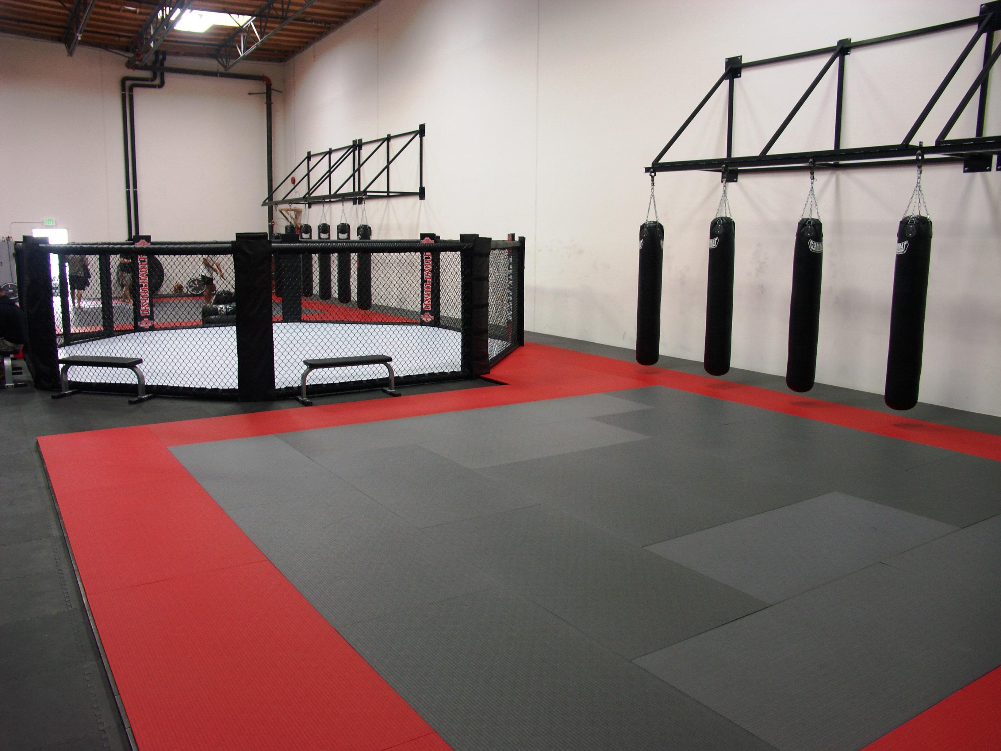 3264x2448 Zebra Training Series MMA Cages