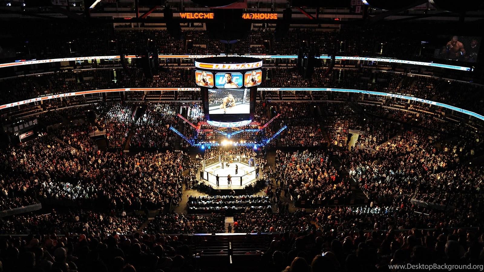 1600x900 RePin Image: Mma Octagon Background Logo Desktop Background